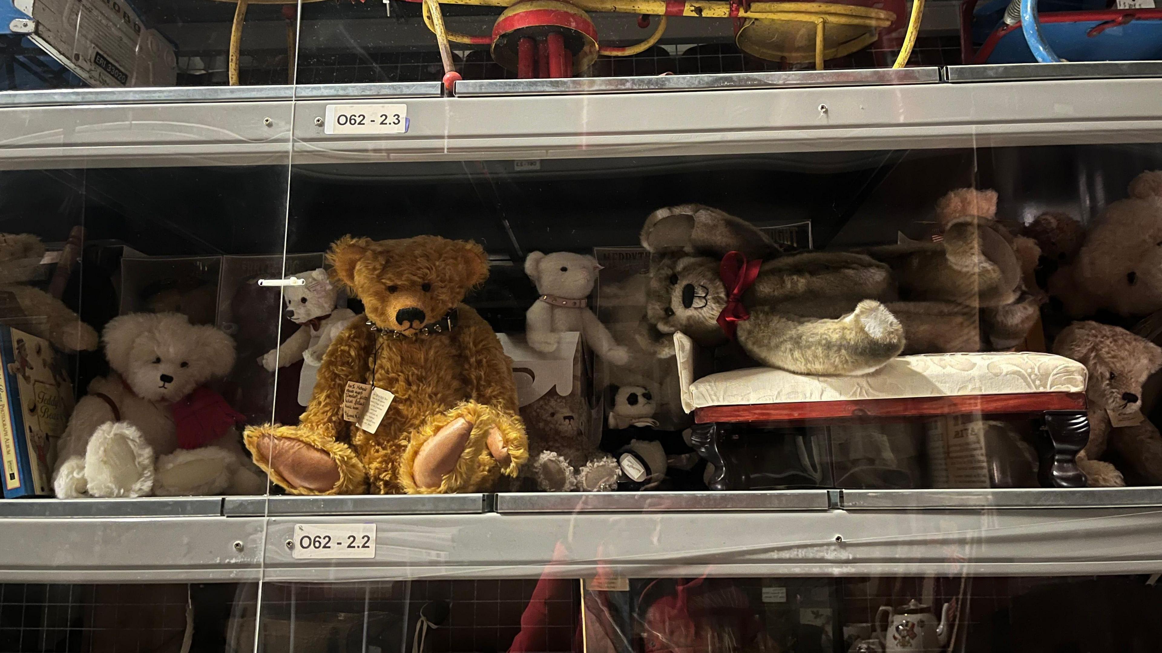 Shelf stuffed with lots of teddy bears of all different colours - mainly white and brown.