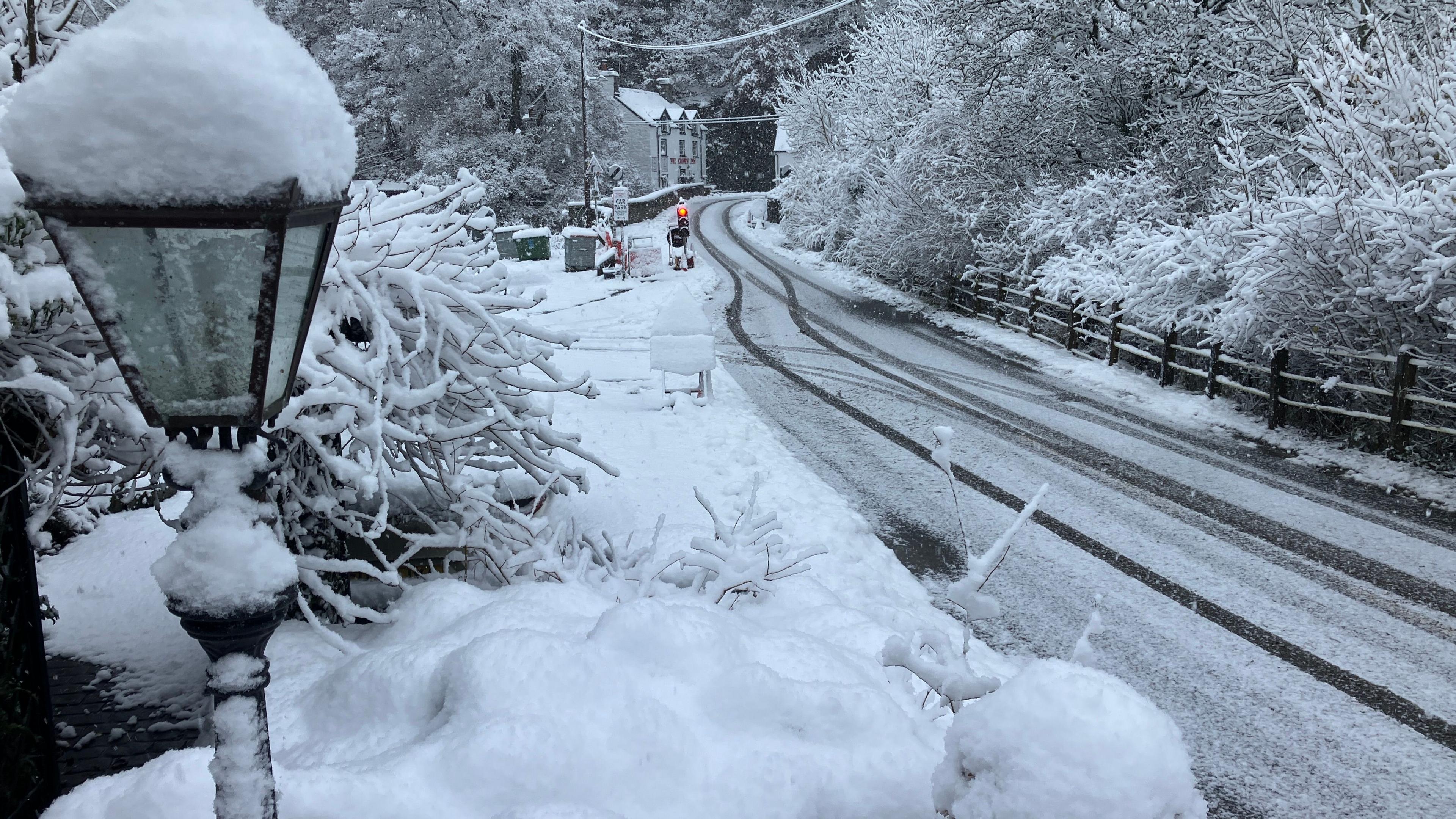 Snow covering a road and the trees on either side. 