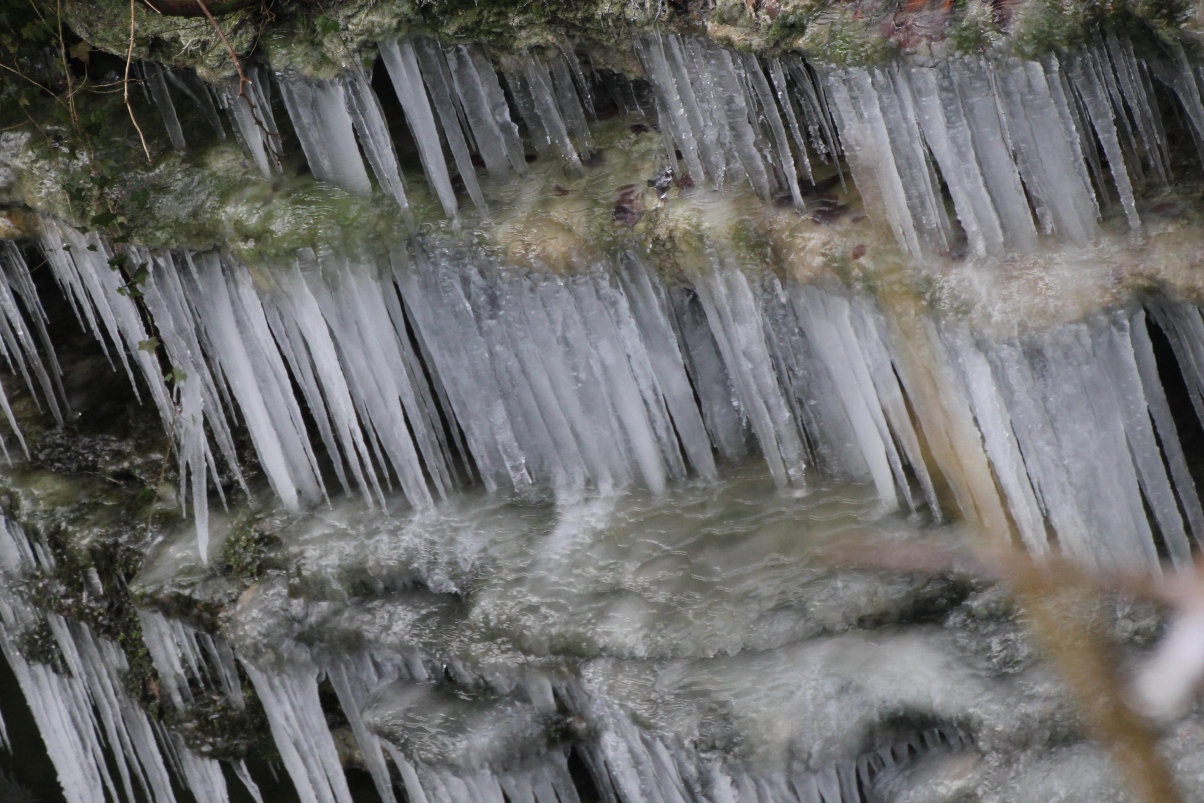 Dozens of icicles formed in a waterfall.