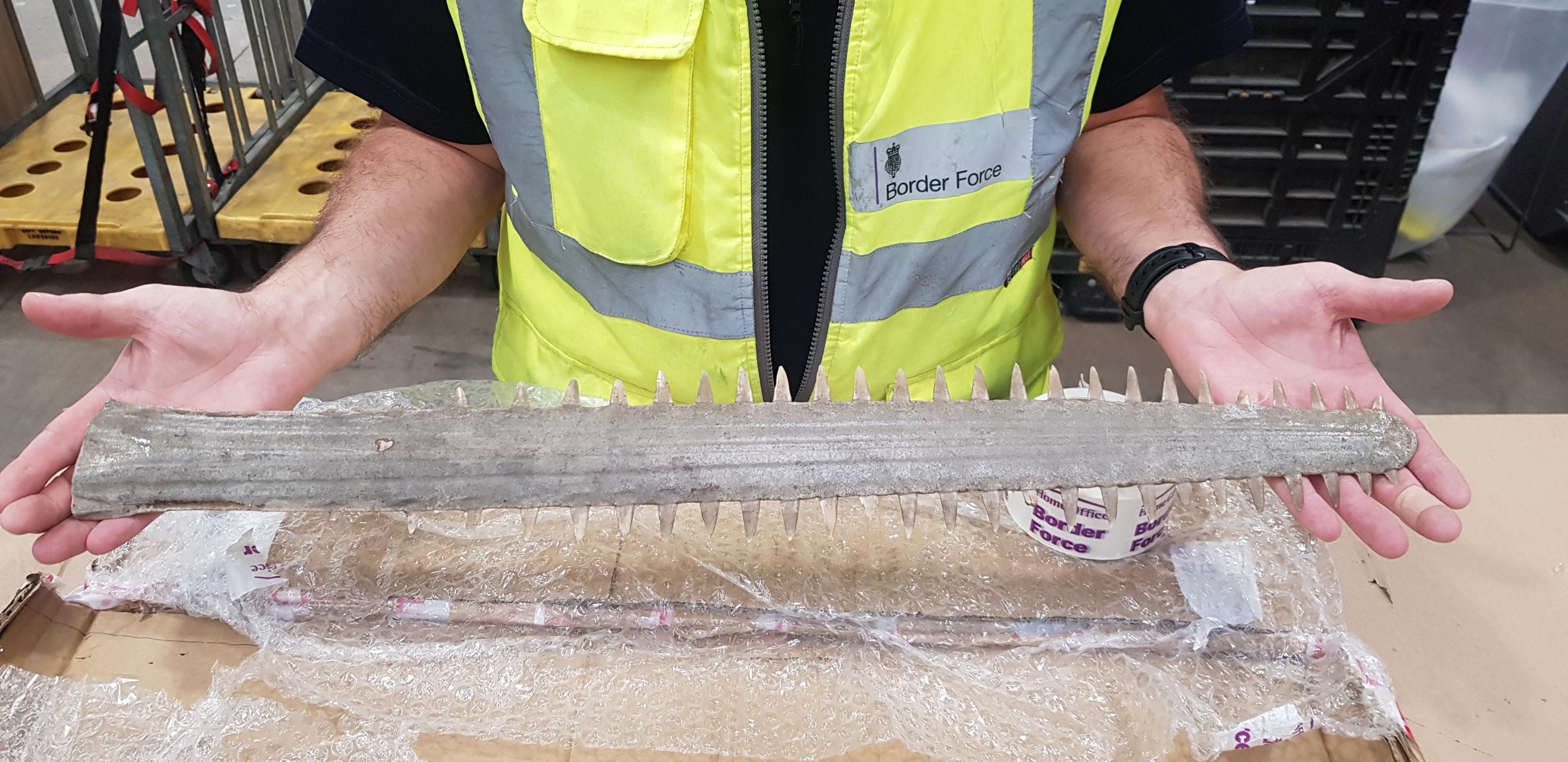 Sawfish rostrum seized