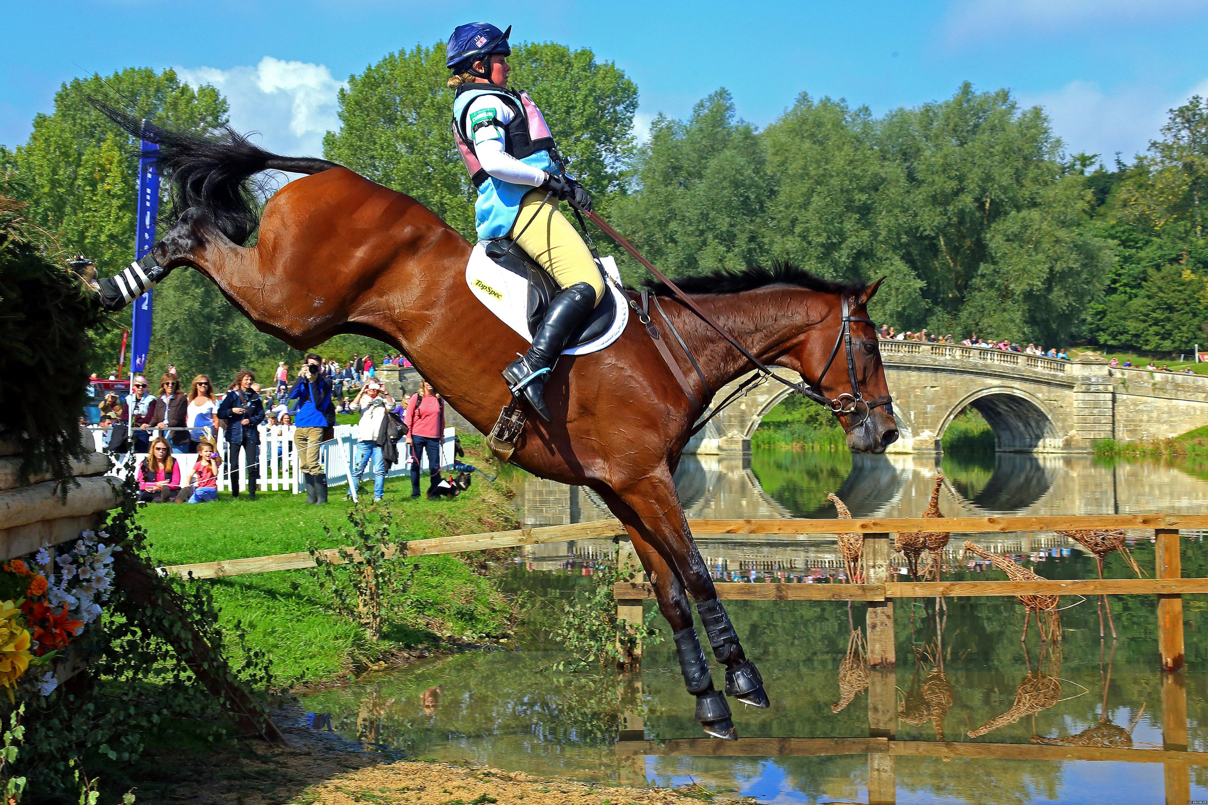 A picture of a horse and rider, posted on Twitter by Kitty King, as part of the #blueforBonnie campaign (Photograph courtesy of Liz Knowler)