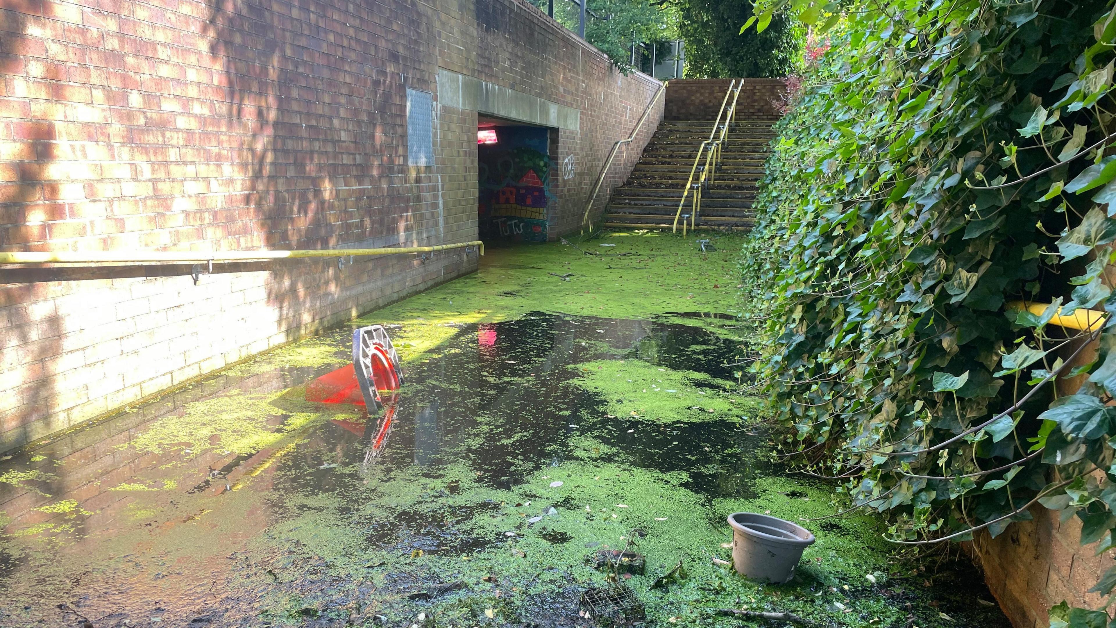 An underpass full of stagnant, green water. There is a flower pot and a traffic cone floating in the water. There are steps in the background and ivy hanging from a wall on the right hand side.