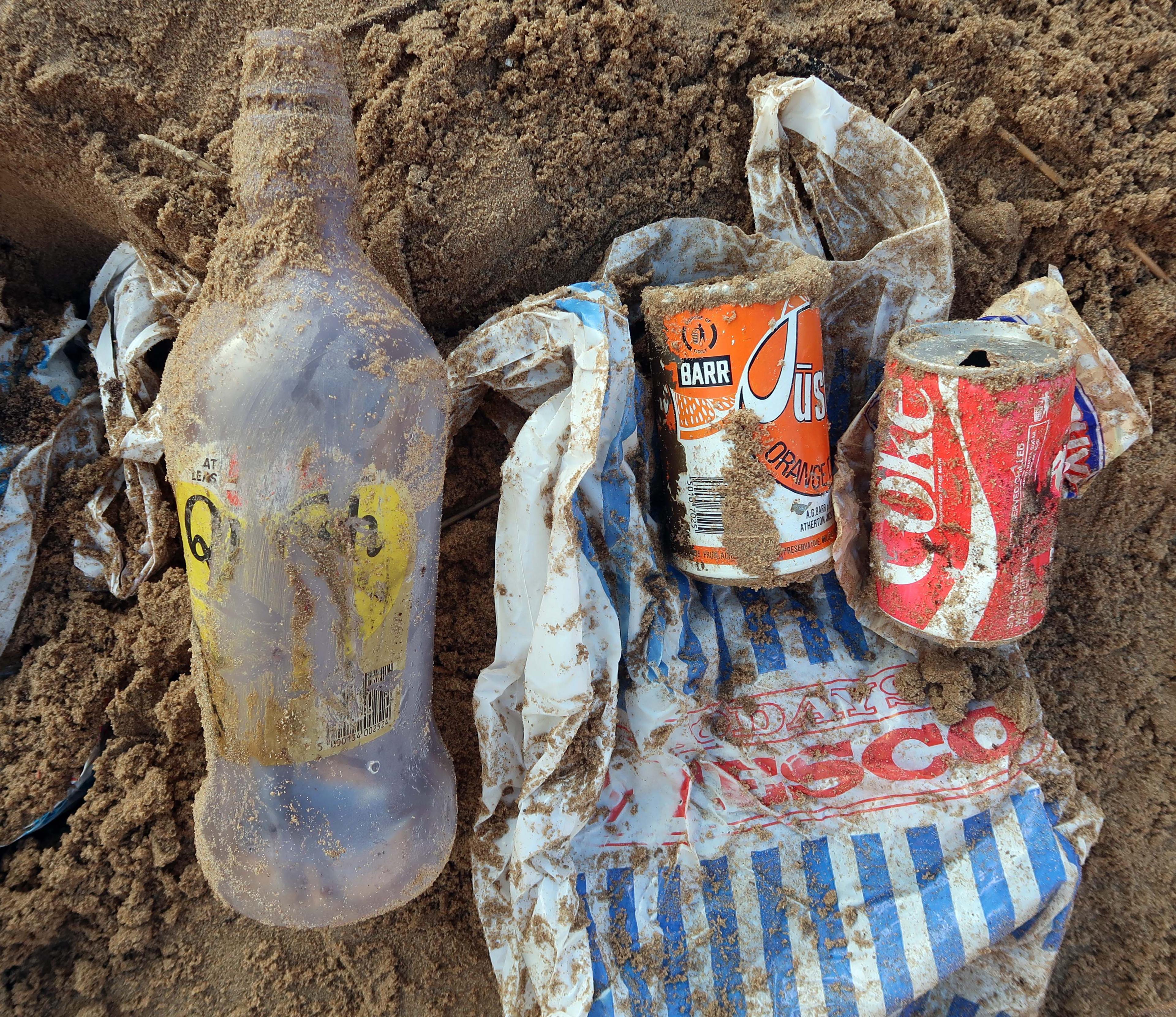 Remains of a 1980s picnic