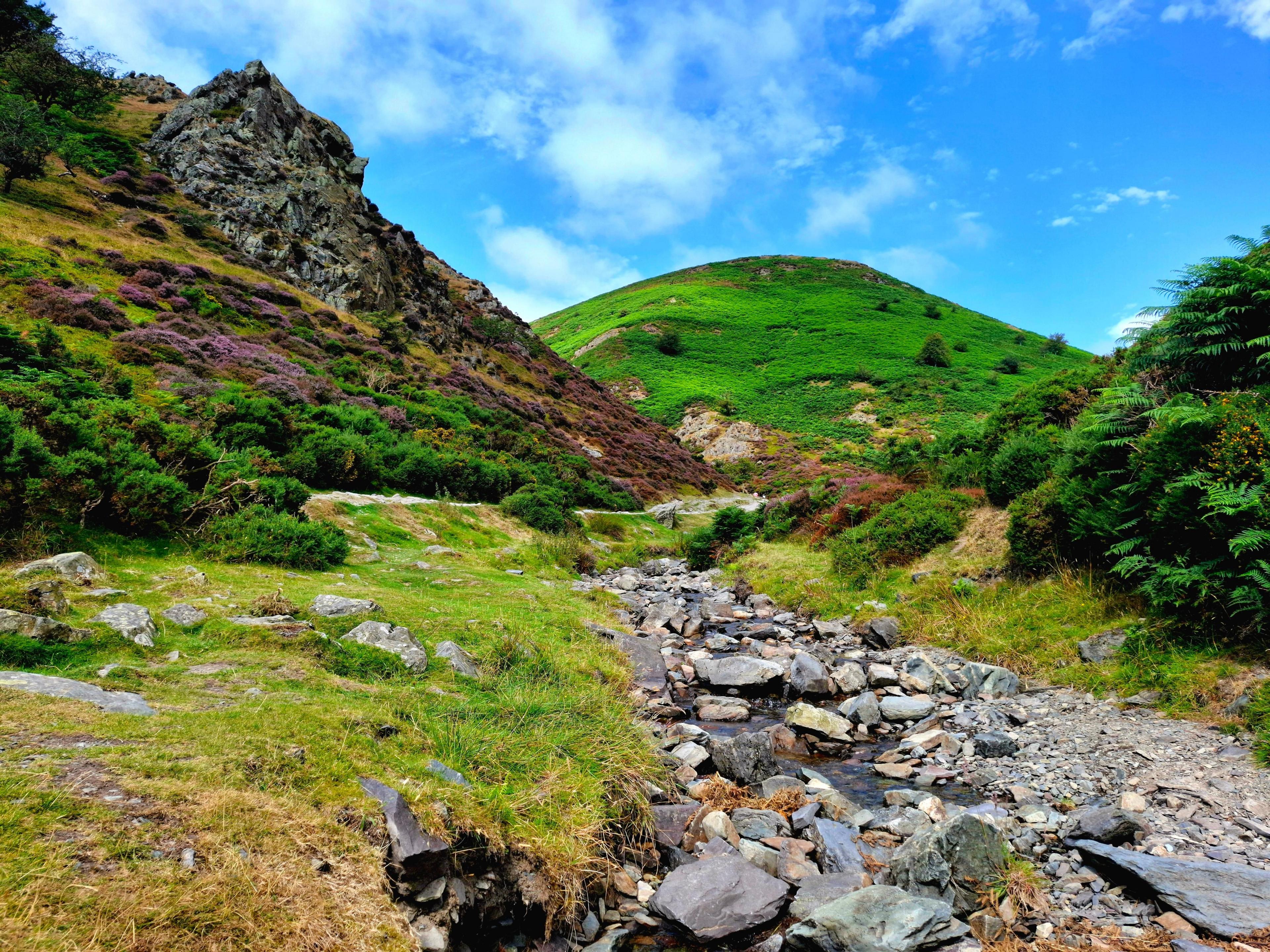 A rocky stream dominates in the foreground, with a green hillside behind, a rocky bank of purple heather to the left and green bracken on the right