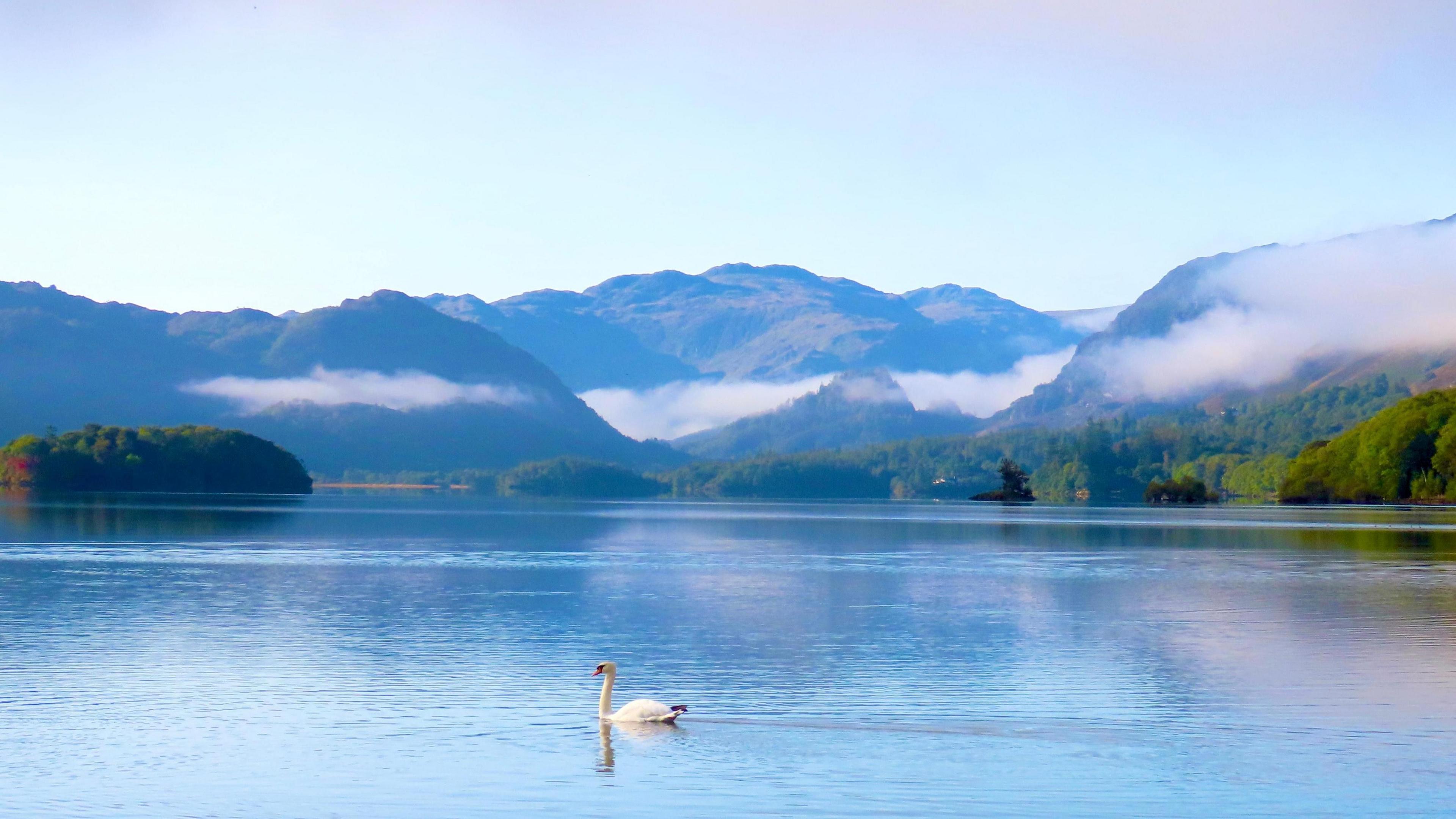 A lone swan sits on a still blue lake with hills around it. The fog weaves in and out of the hills and the overall feel of the photo is calmness