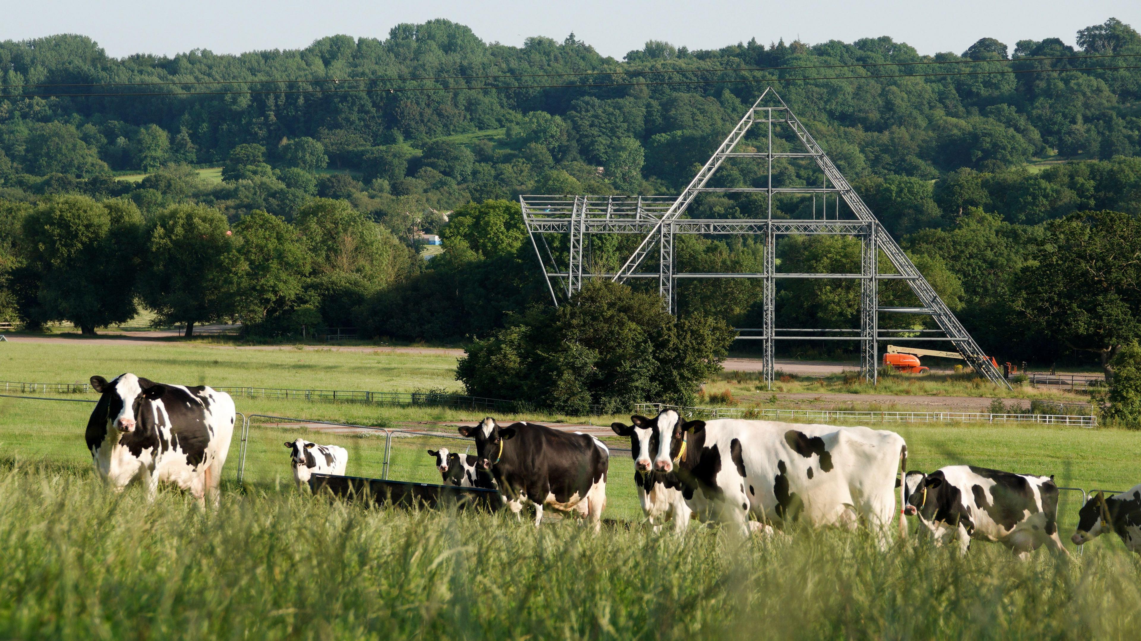 Grass and cows grazing in a field. There is a large pyramid-shaped metal structure, which is known as the Pyramid Stage. There are hills in the background.
