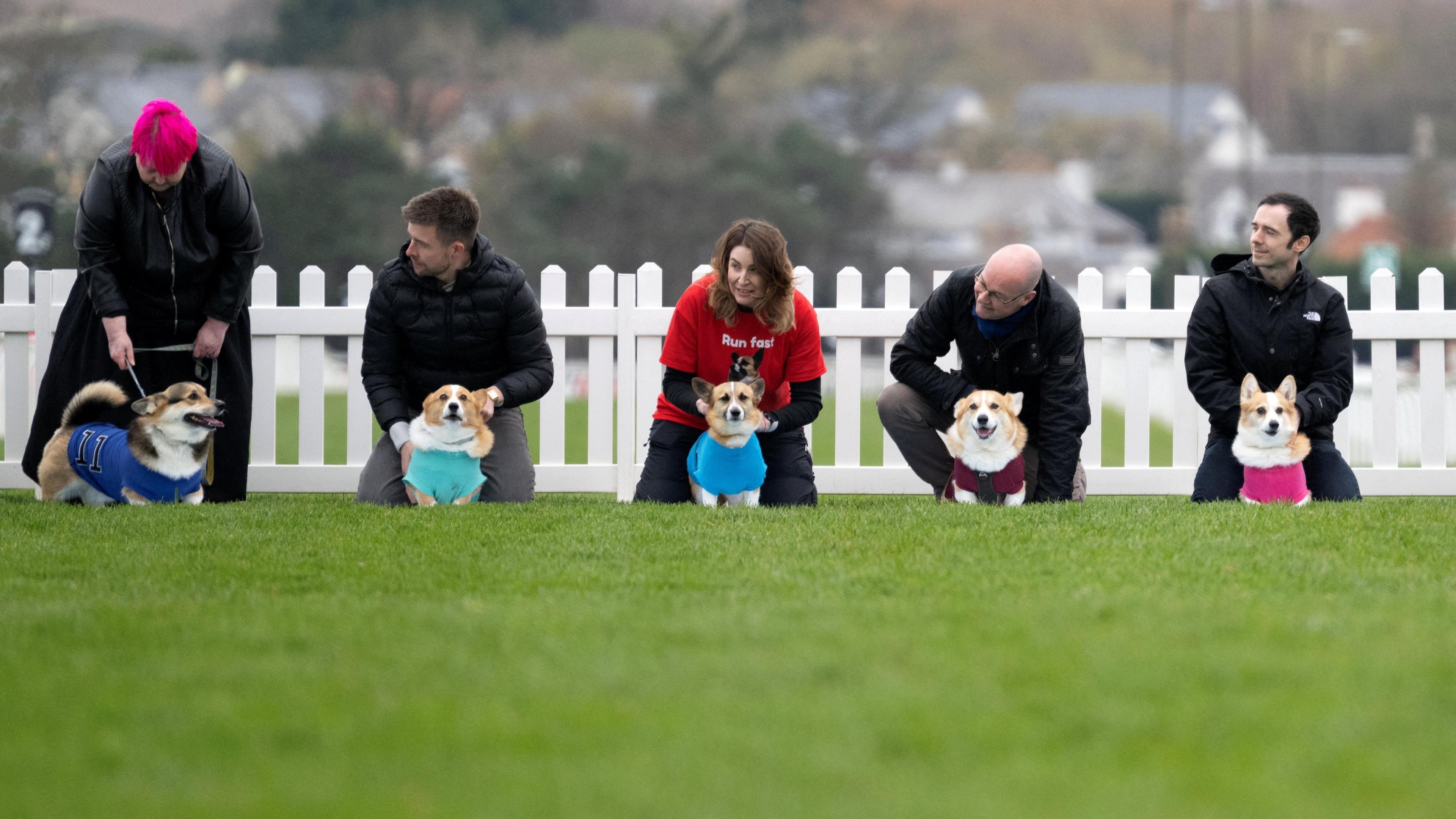 Five owners hold their corgis ahead of the race. Each corgi is wearing a different coloured coat.
