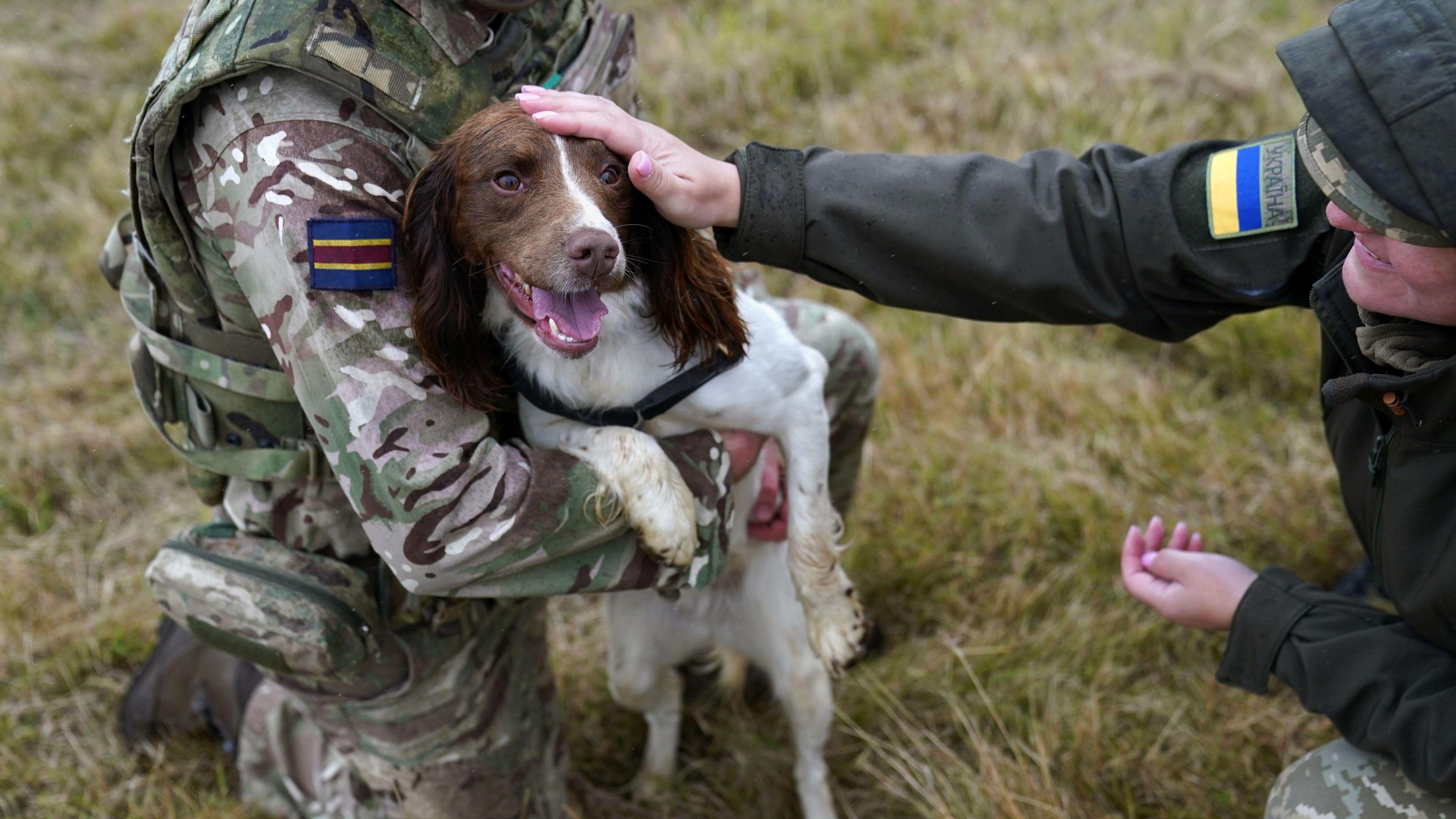 British Army dog handlers with a dog