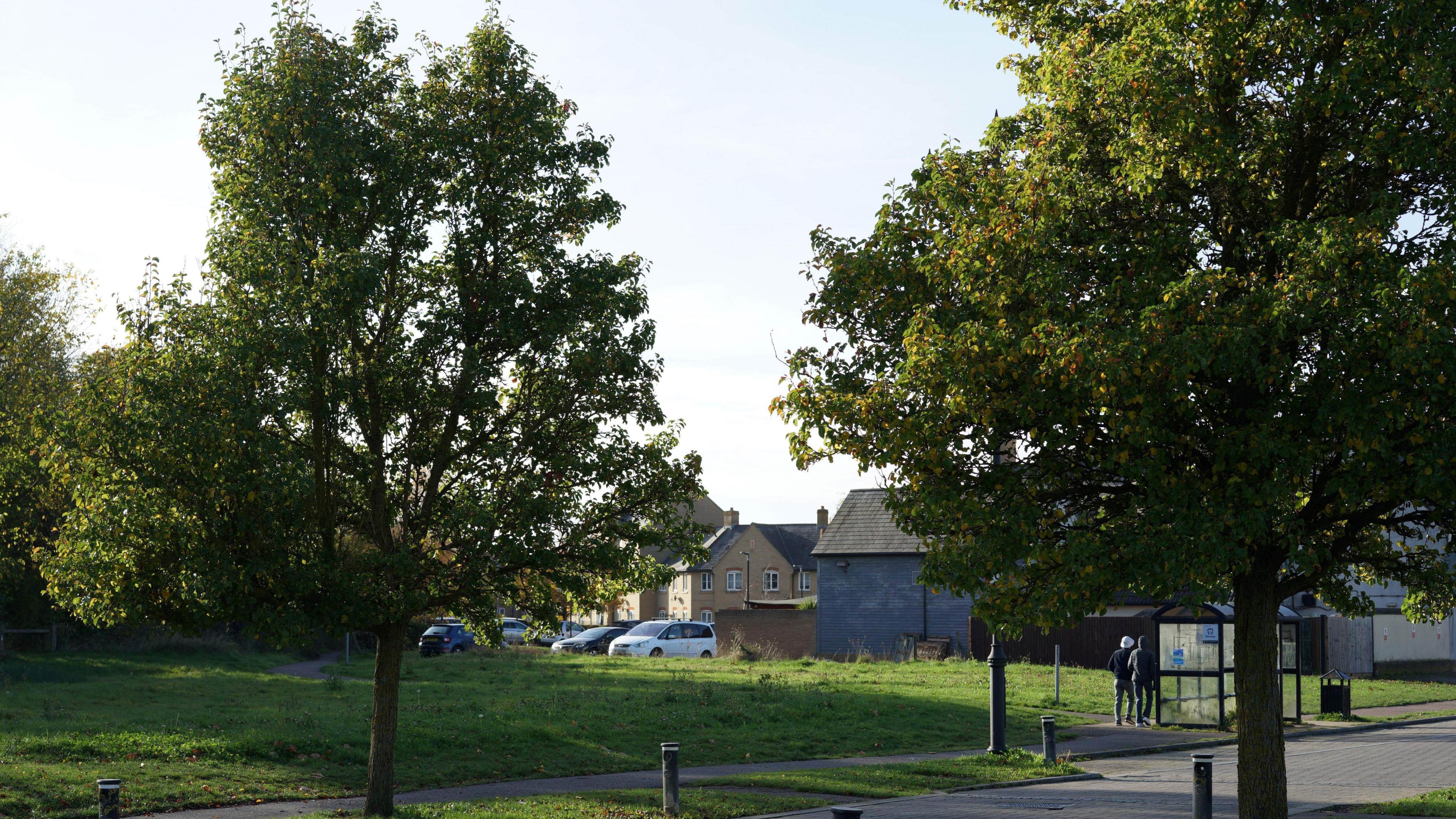 Image shows tree lined path in Cambourne, with housing in the background and some cars. There are two people walking past a bus stop.