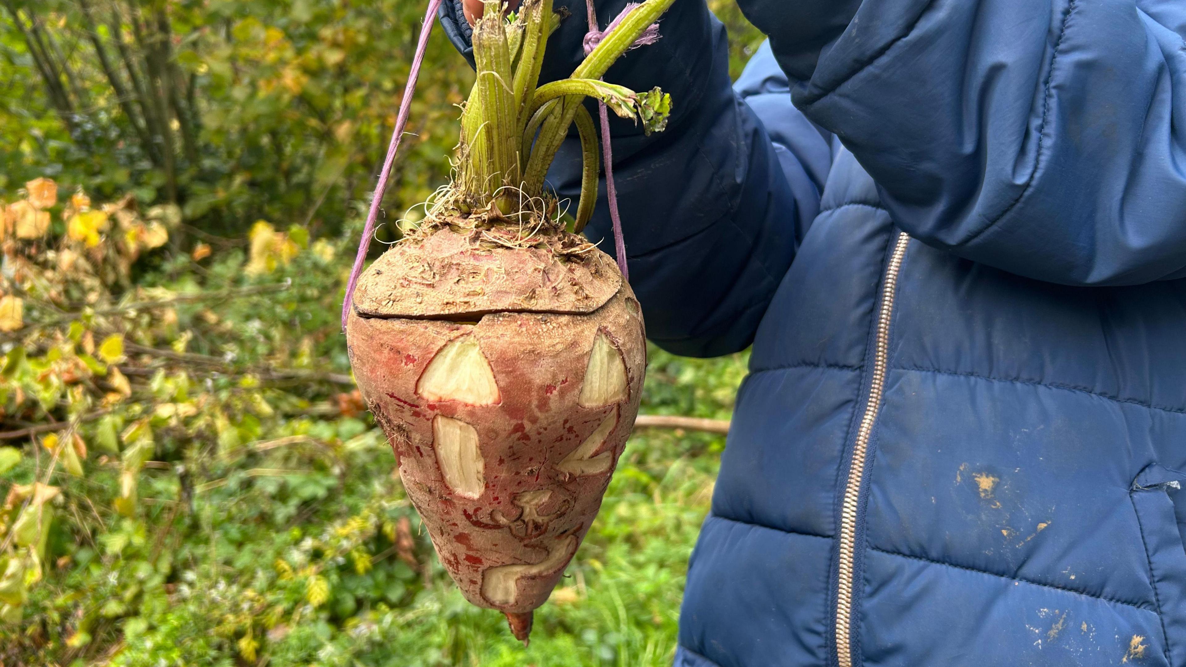 A child is holding up a Mangelwurzel lantern which has a face carved into it. The child is holding it up on a purple string.
