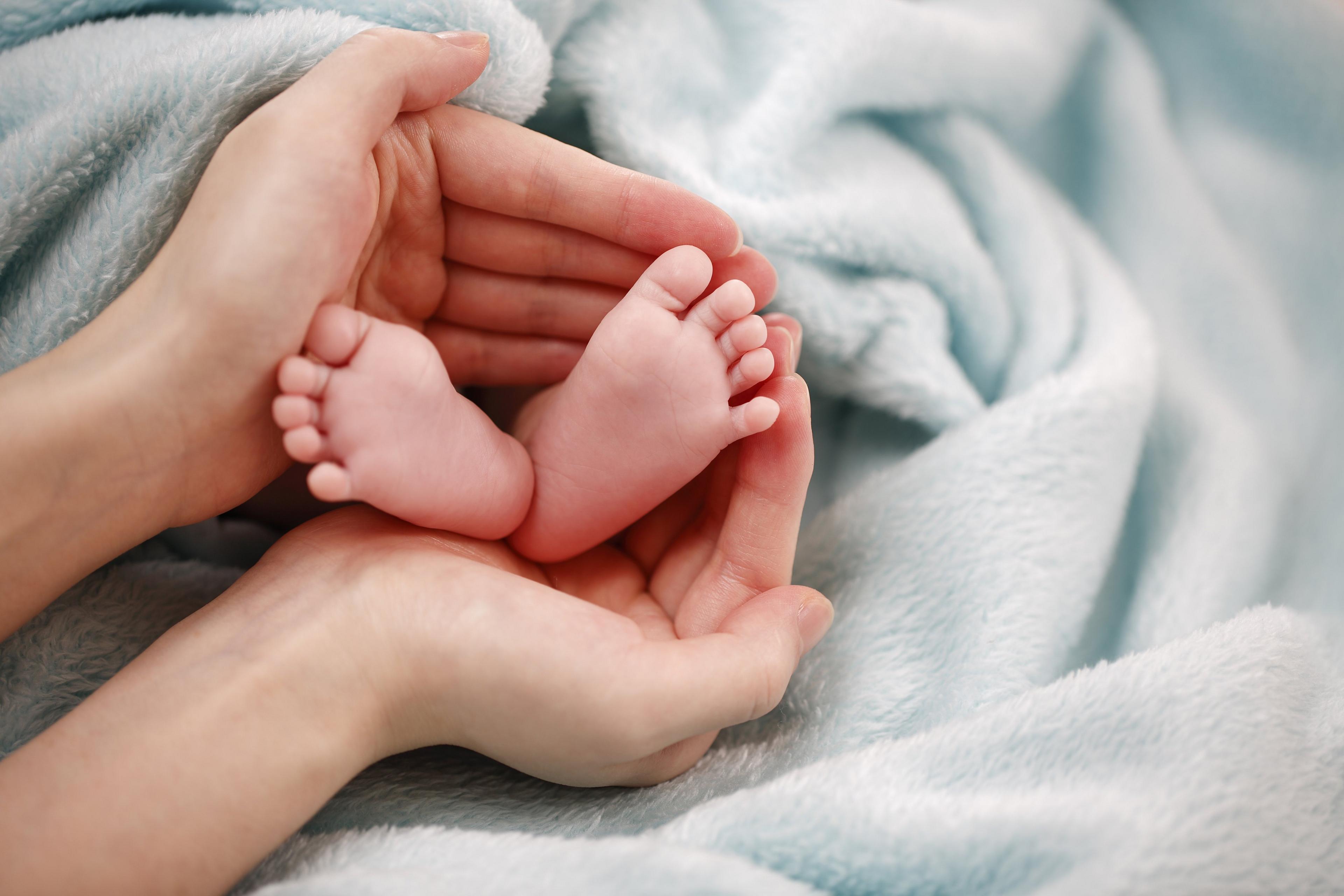 An adult's hand cupping a newborn baby's feet