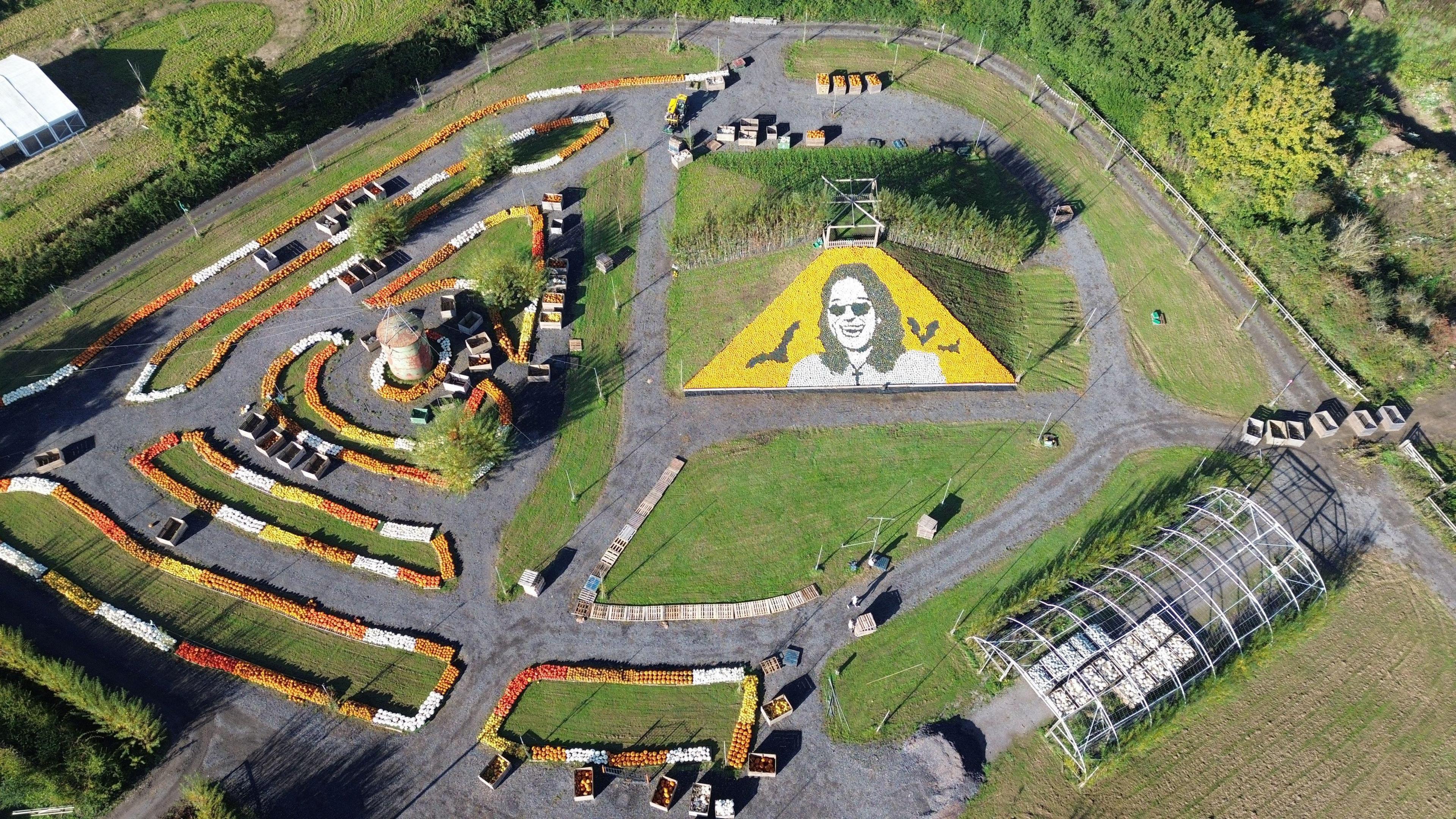 An aerial shot of the triangle shaped mosaic of Ozzy Osborne smiling with glasses on and bats flying around his head. made from orange pumpkins and white and black squashes.
