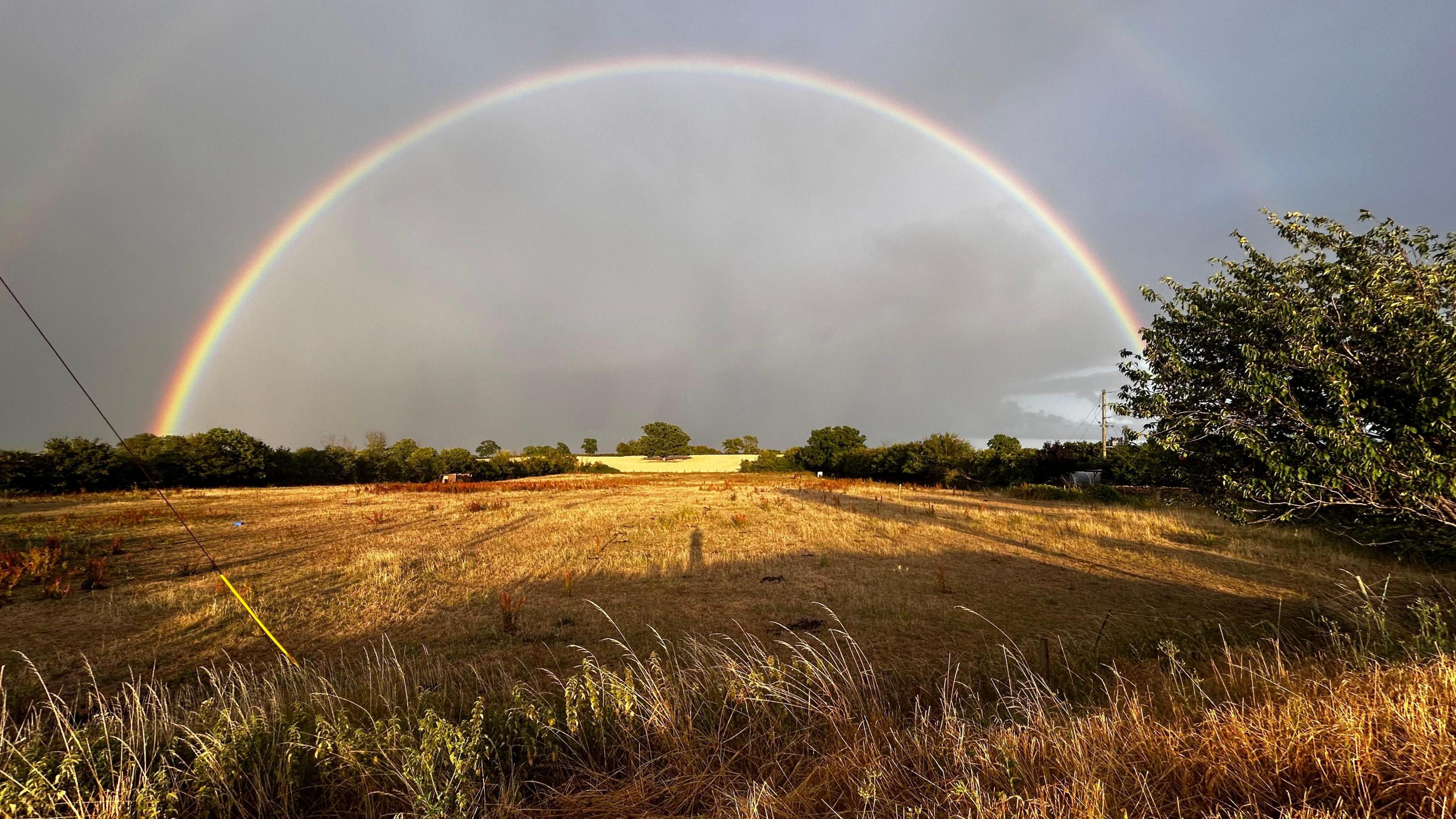 A full rainbow is seen over a wheat field. The sky is grey and the sun is shining onto the field.
