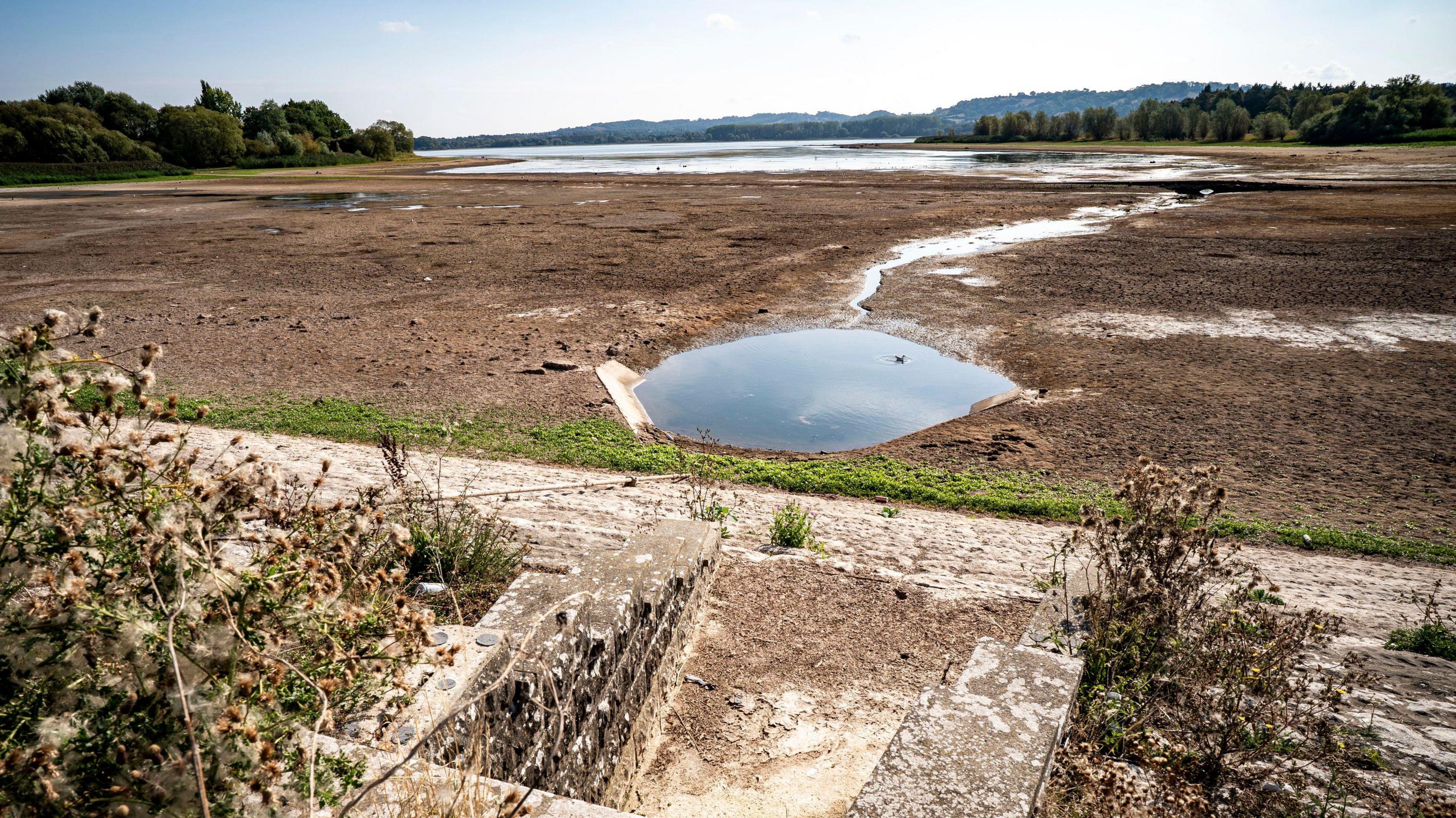 The exposed lake bed at Chew Valley reservoir. It is a vast open plain covered in mud, with a small pool in the centre. In the foreground there is some bracken and stone steps leading down to where the water level usually is. In the far distance, there is shallow water in the deeper areas of the reservoir.