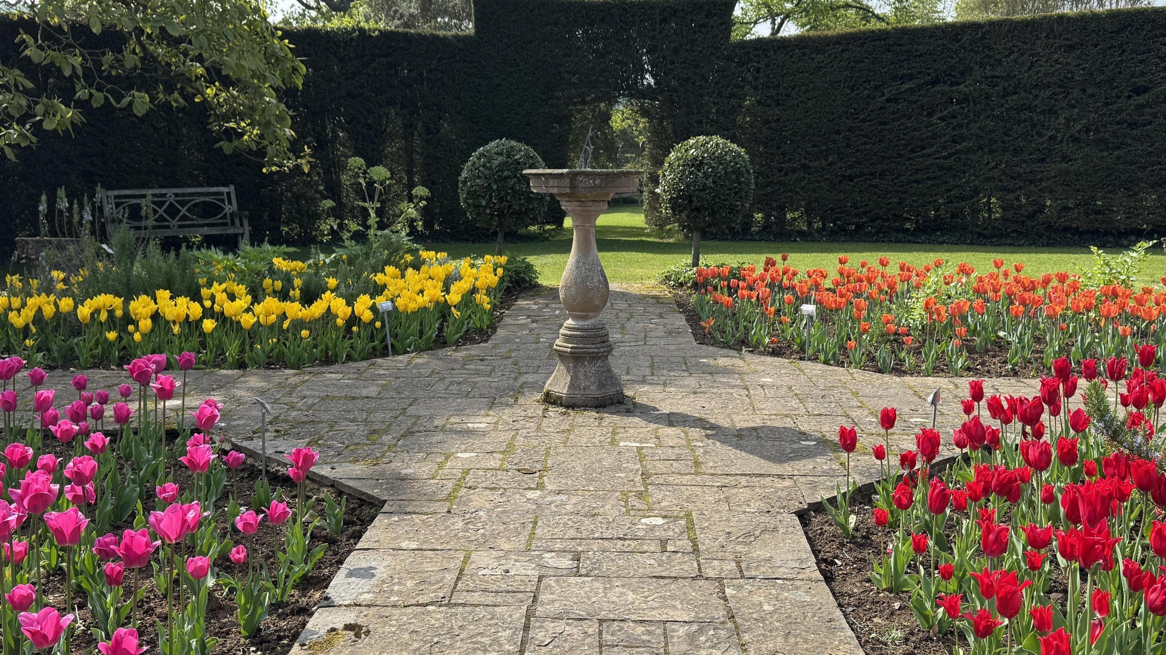 A sundial in the middle of a walk way, it is divided into four quadrants each with different colour tulips. One has red, one pink, one yellow and one orange