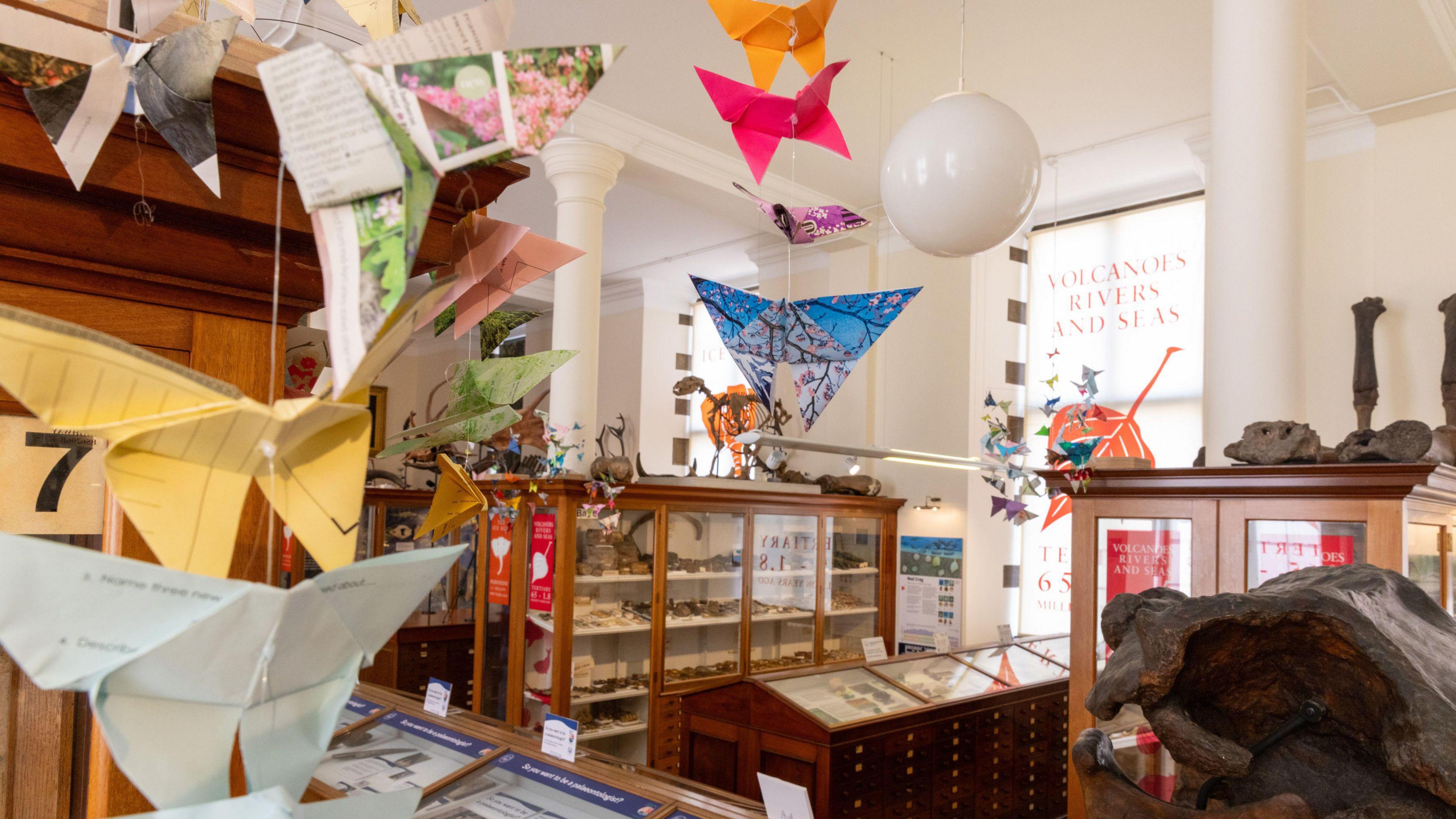 Paper butterflies on display in a museum