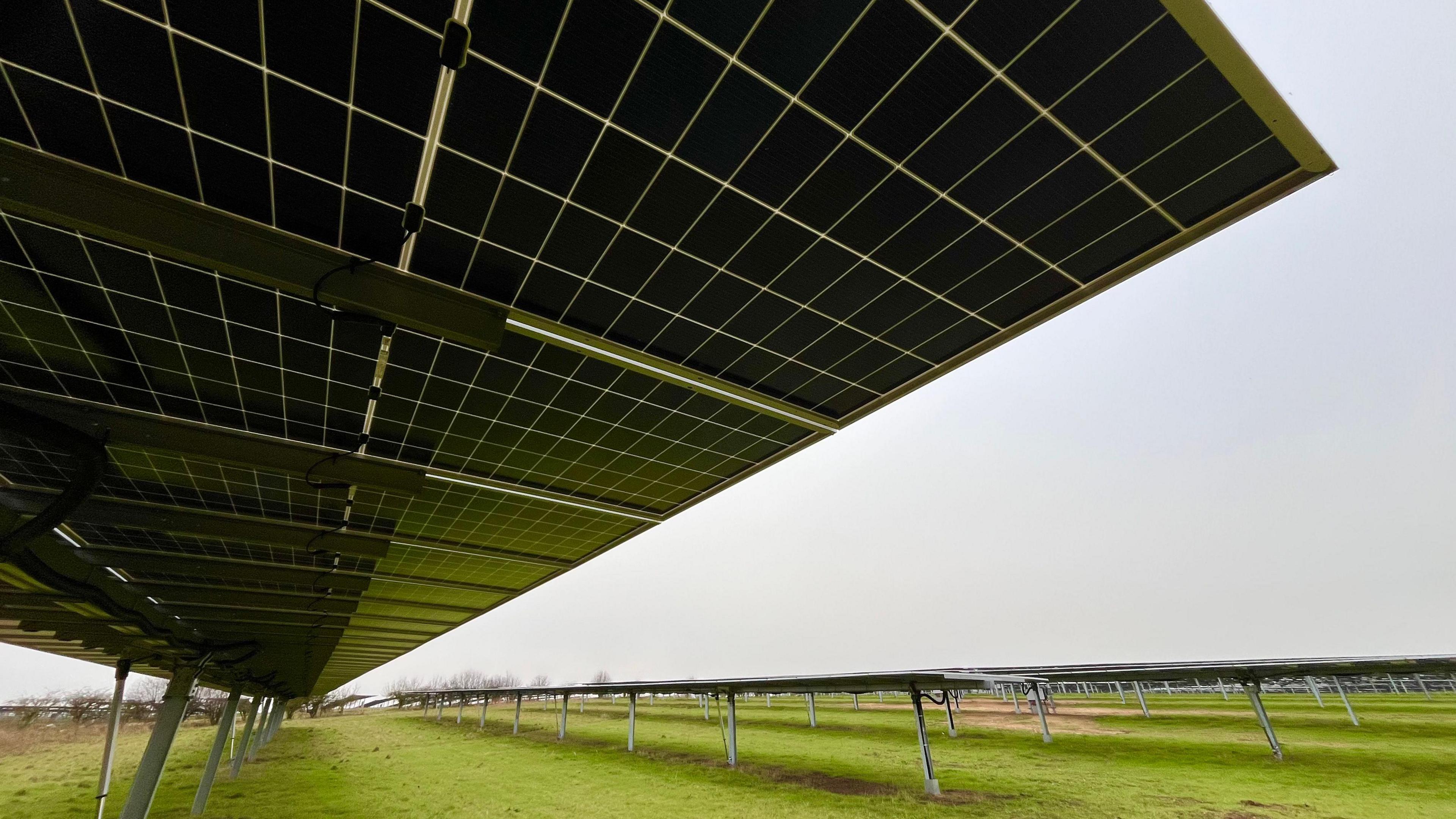 The underside of an array of solar panels. The panels are mounted on tall metal stilts and arranged in long rows, which are disappearing into the distance. There is green grass growing beneath the panels. The sky appears to be overcast and grey.