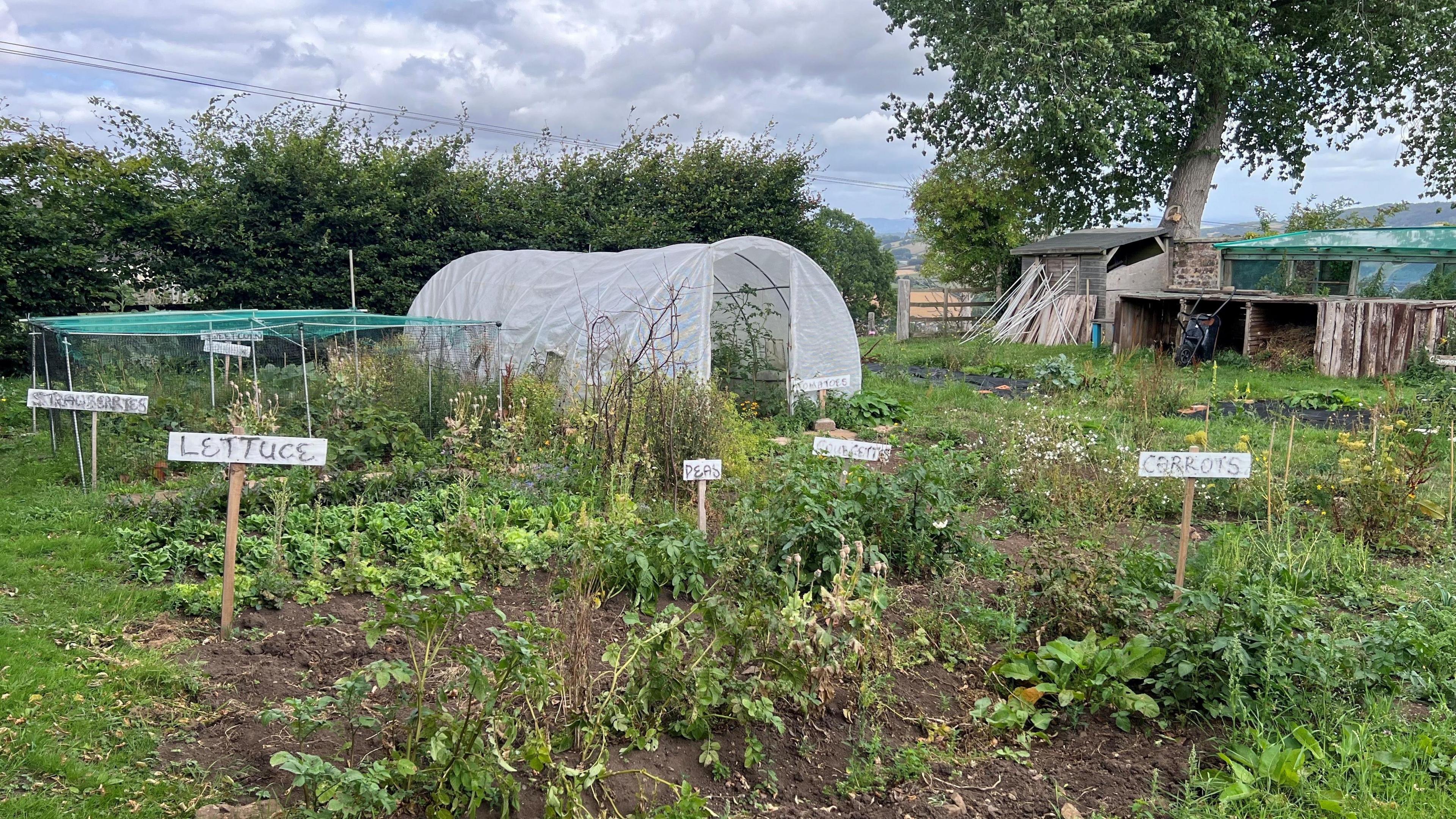 A small vegetable garden at the centre, with a polytunnel and various crops with handmade signs next to them, which read "lettuce", "carrots", "peas" and "courgettes".