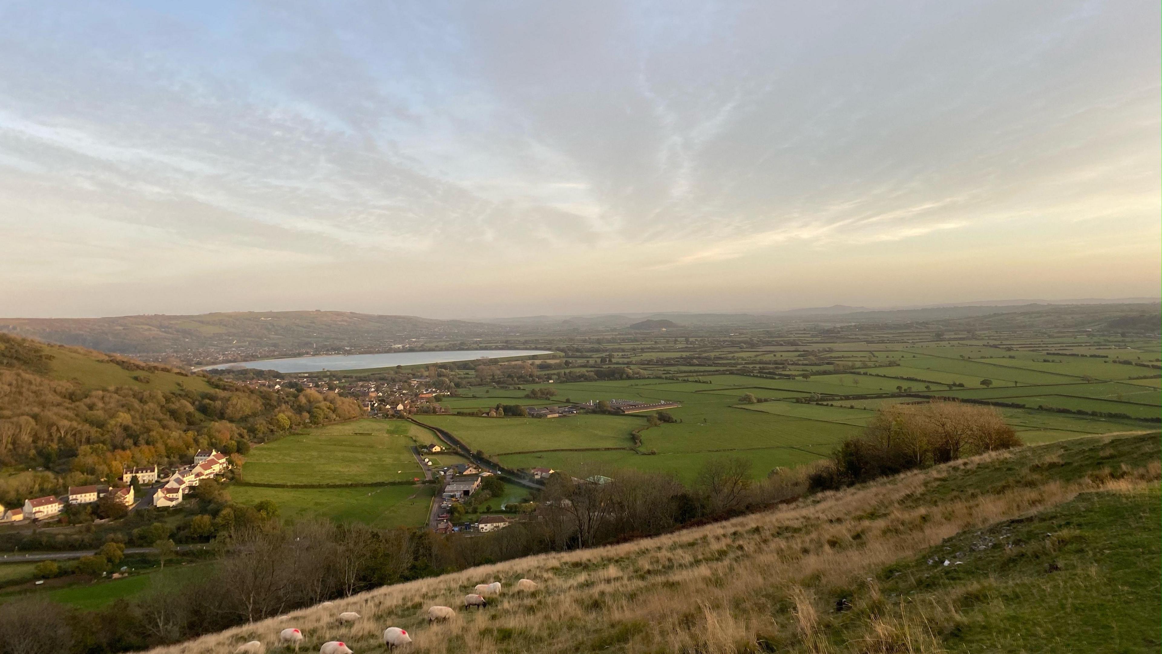 A reservoir surrounded by fields, hills and sheep 