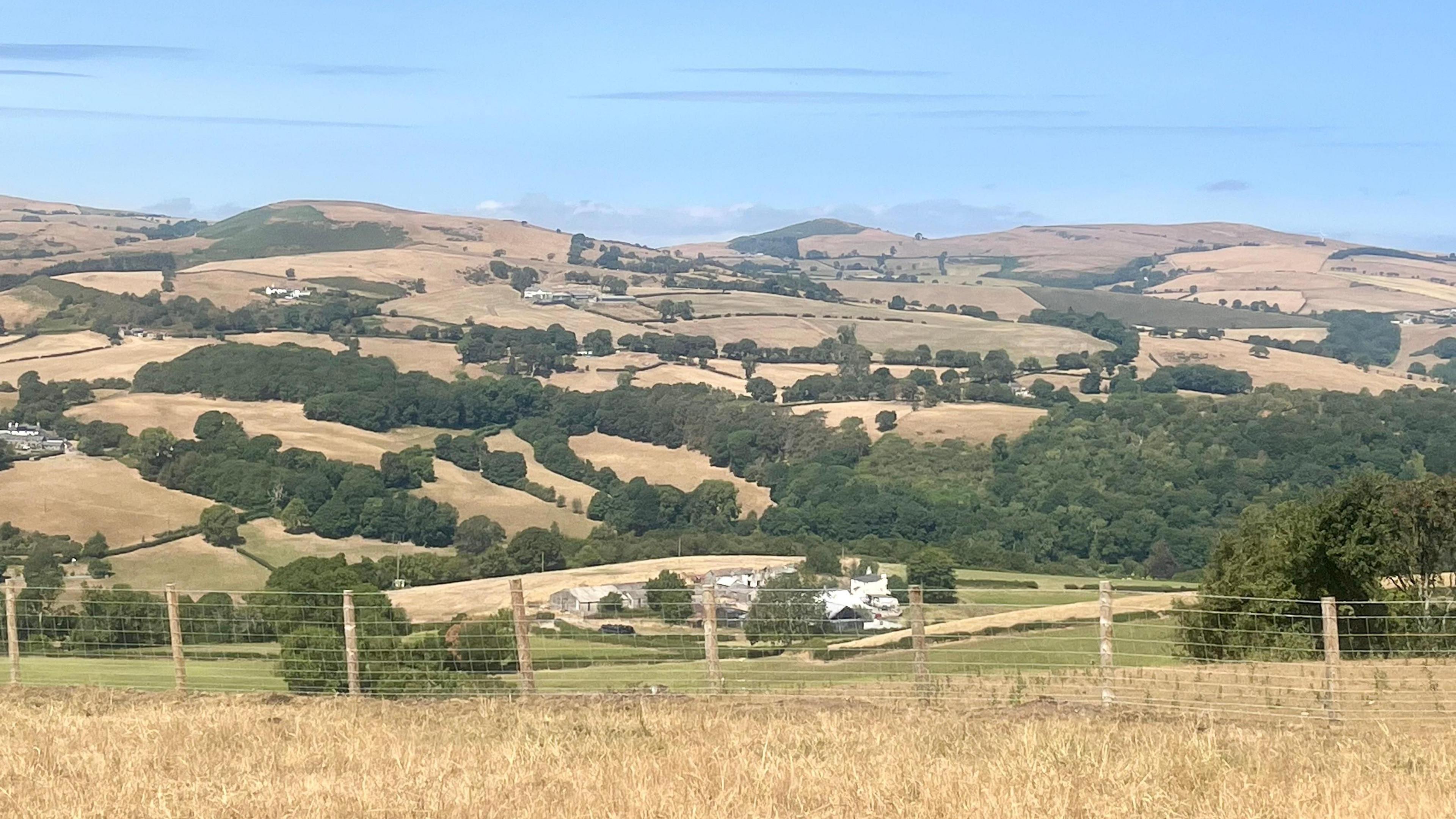 Yr olygfa yn Nantglyn, Sir Ddinbych ddydd Mawrth