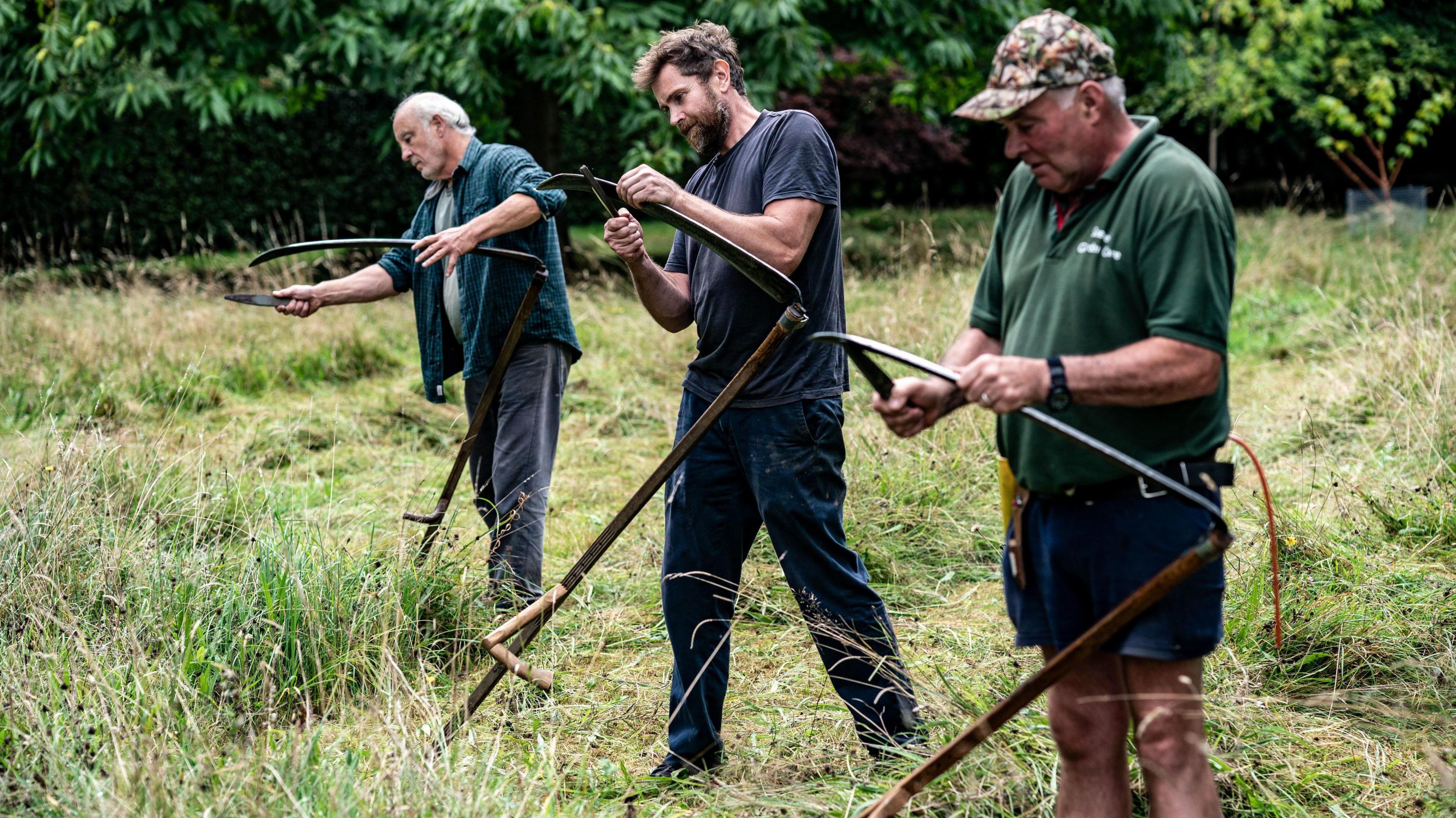 Three men with scythes cut through grass in a meadow