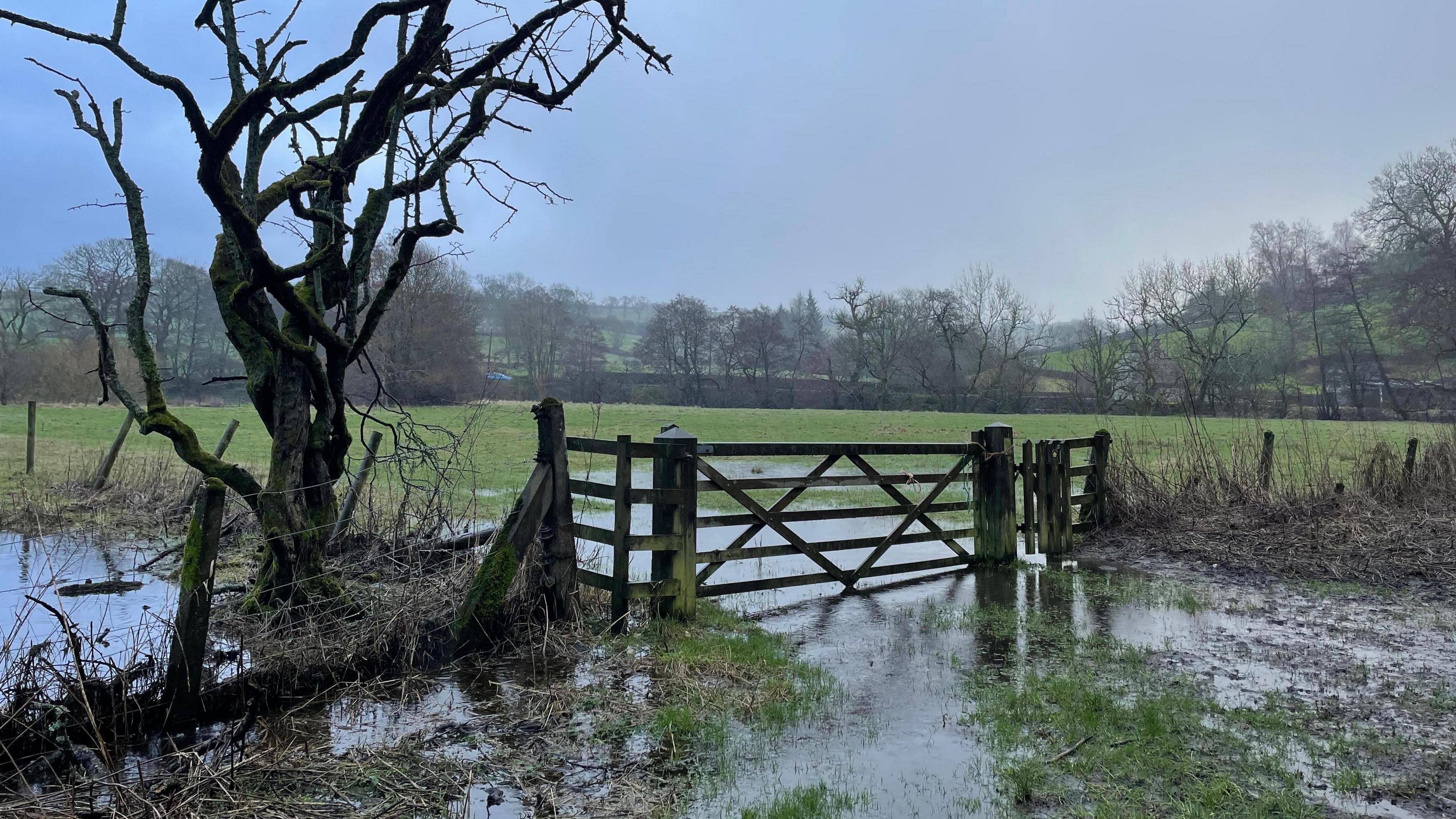 photo of a flooded field with a famers fence and gate sitting in large puddle and waterlogged ground