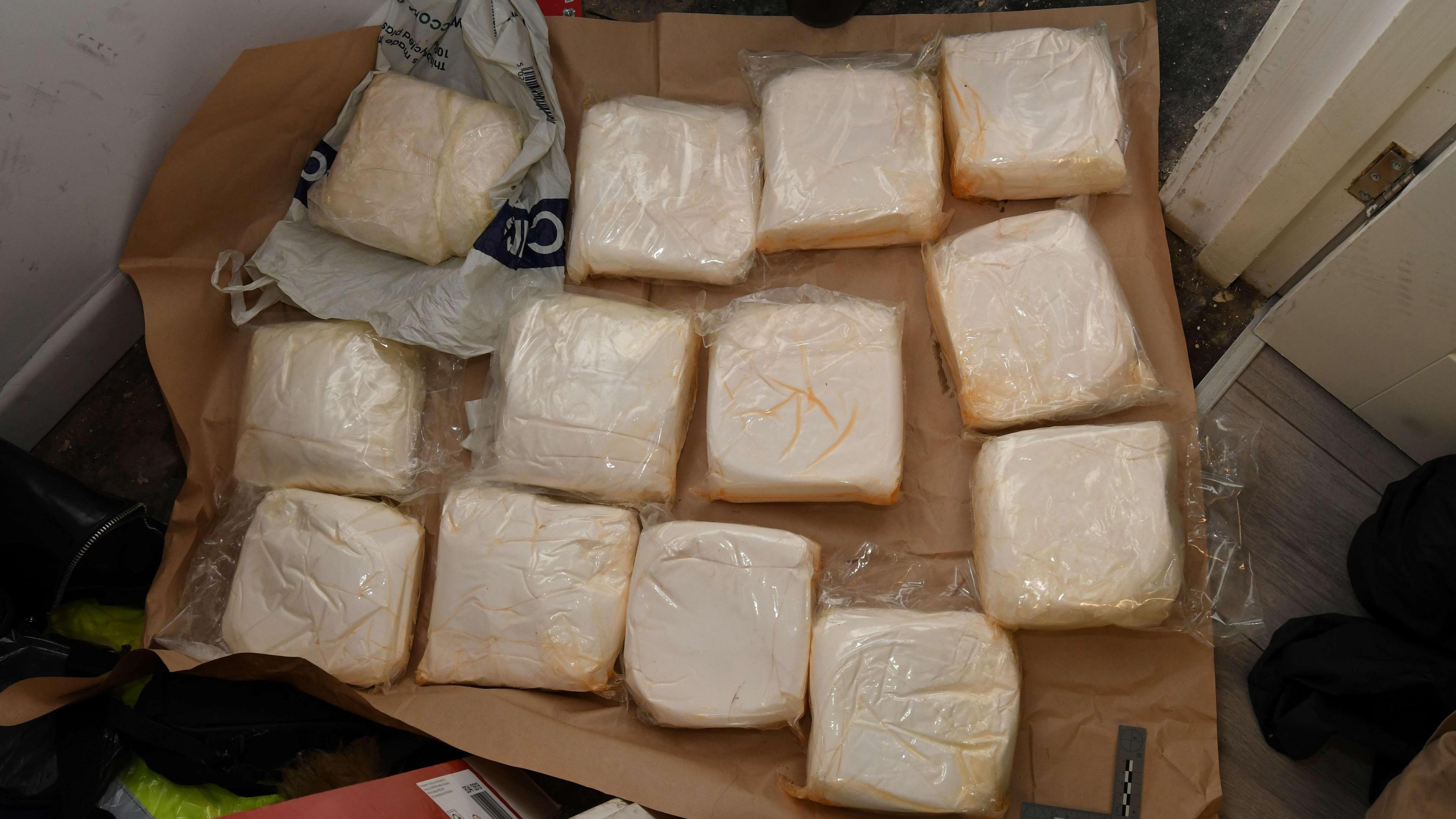 Thirteen square blocks of white powder, wrapped in clear plastic film and placed on a piece of cardboard.