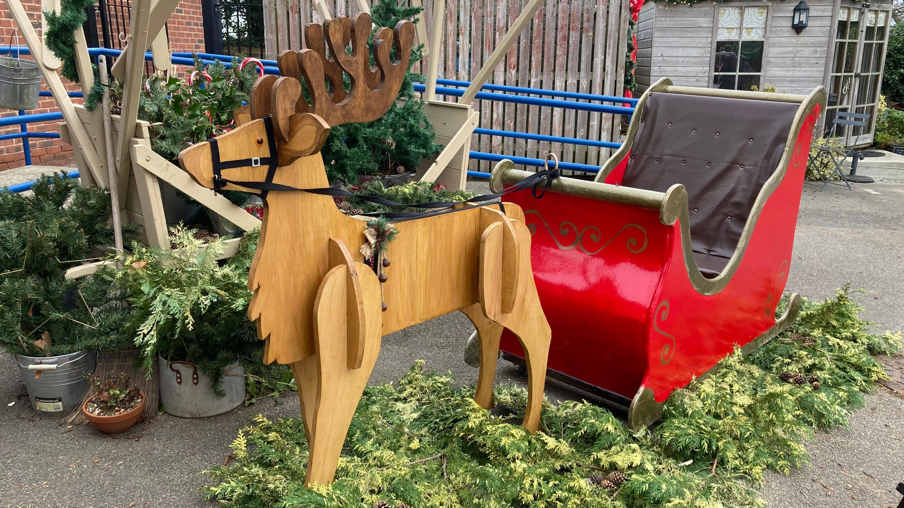 A wooden reindeer with fake black reins over its head. The reins are connected to a red sleigh. Green foliage is on the concrete floor.