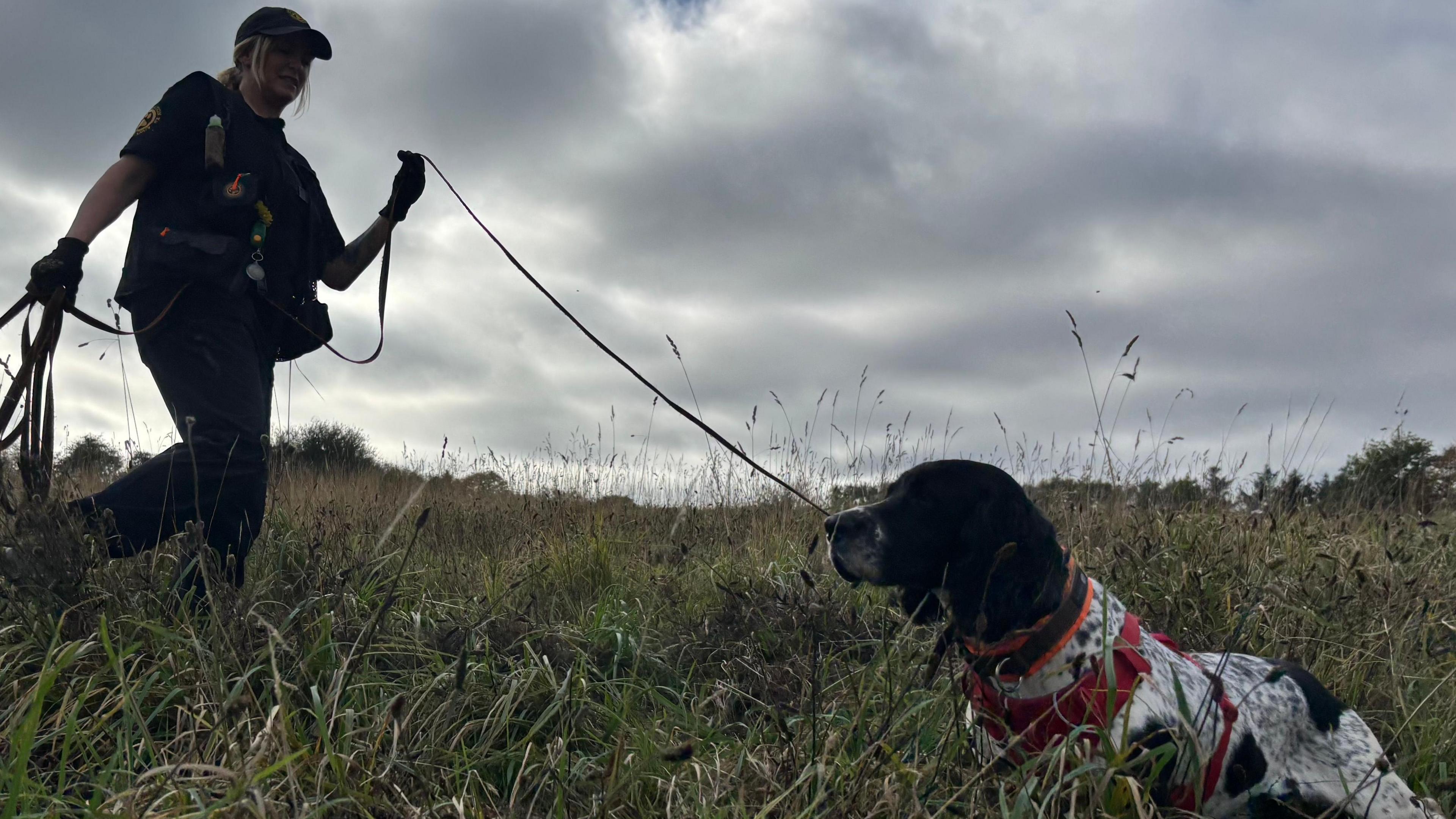 Henry sat in a field after locating a dead bird as Louise stands over him holding his leash.