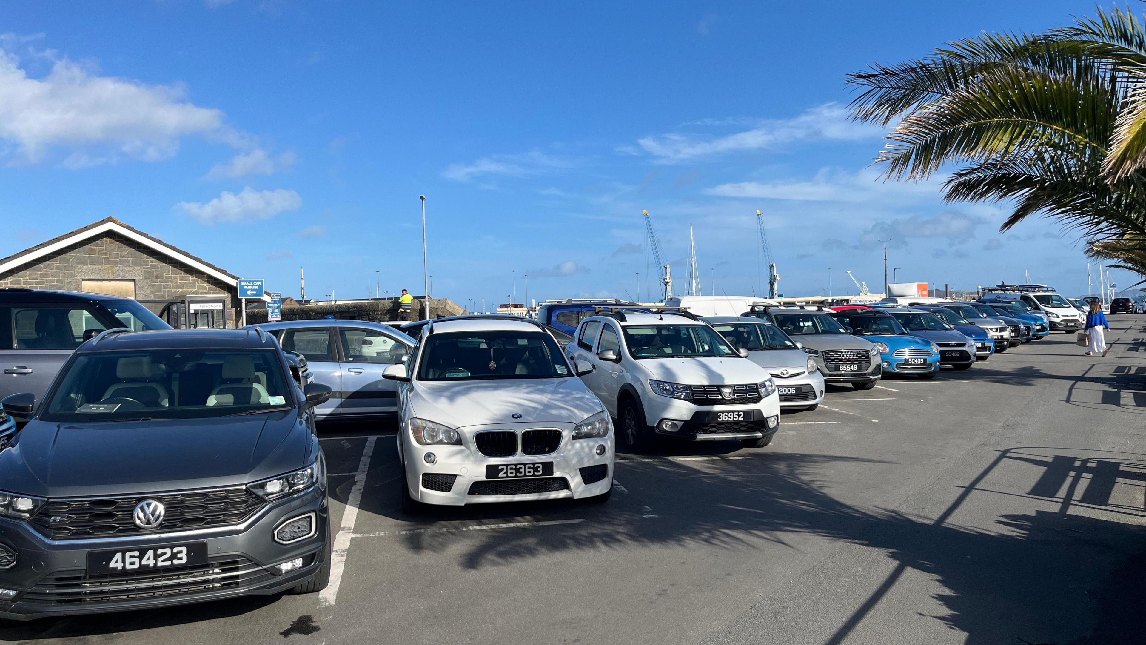 A car park with all the car parking spaces full and a palm tree in the top right corner