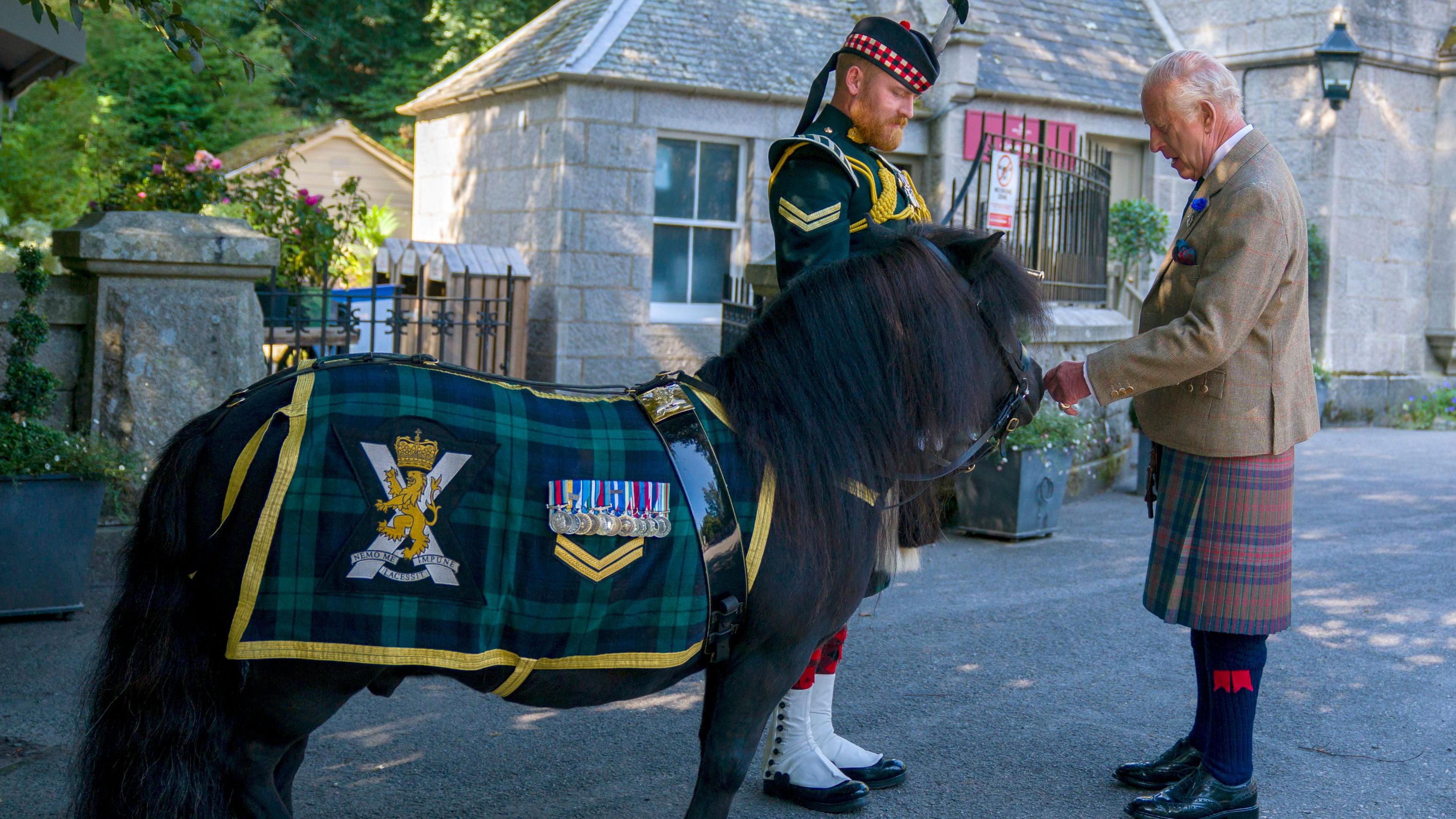King Charles III - who is wearing tweed jacket, matching waistcoat, white shirt and blue tie; kilt, black shocks and black shoes - meets Shetland pony Cpl Cruachan IV (mascot of the Royal Regiment of Scotland) during an inspection of the Balaklava Company, 5th Battalion, The Royal Regiment of Scotland, at the gates of Balmoral, as he takes up summer residence at the castle. 