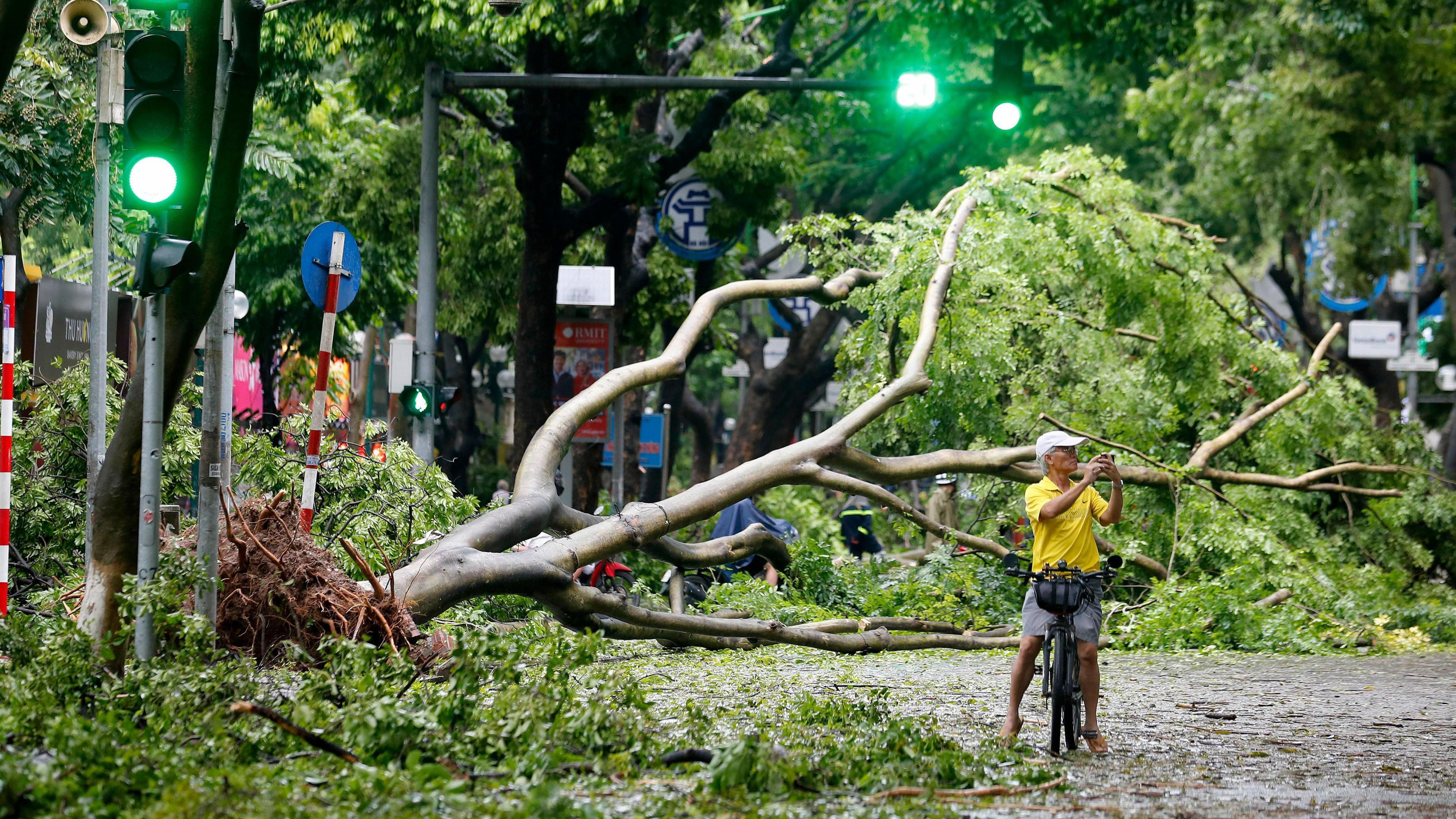 A man on his bike with a fallen tree across the road in the background