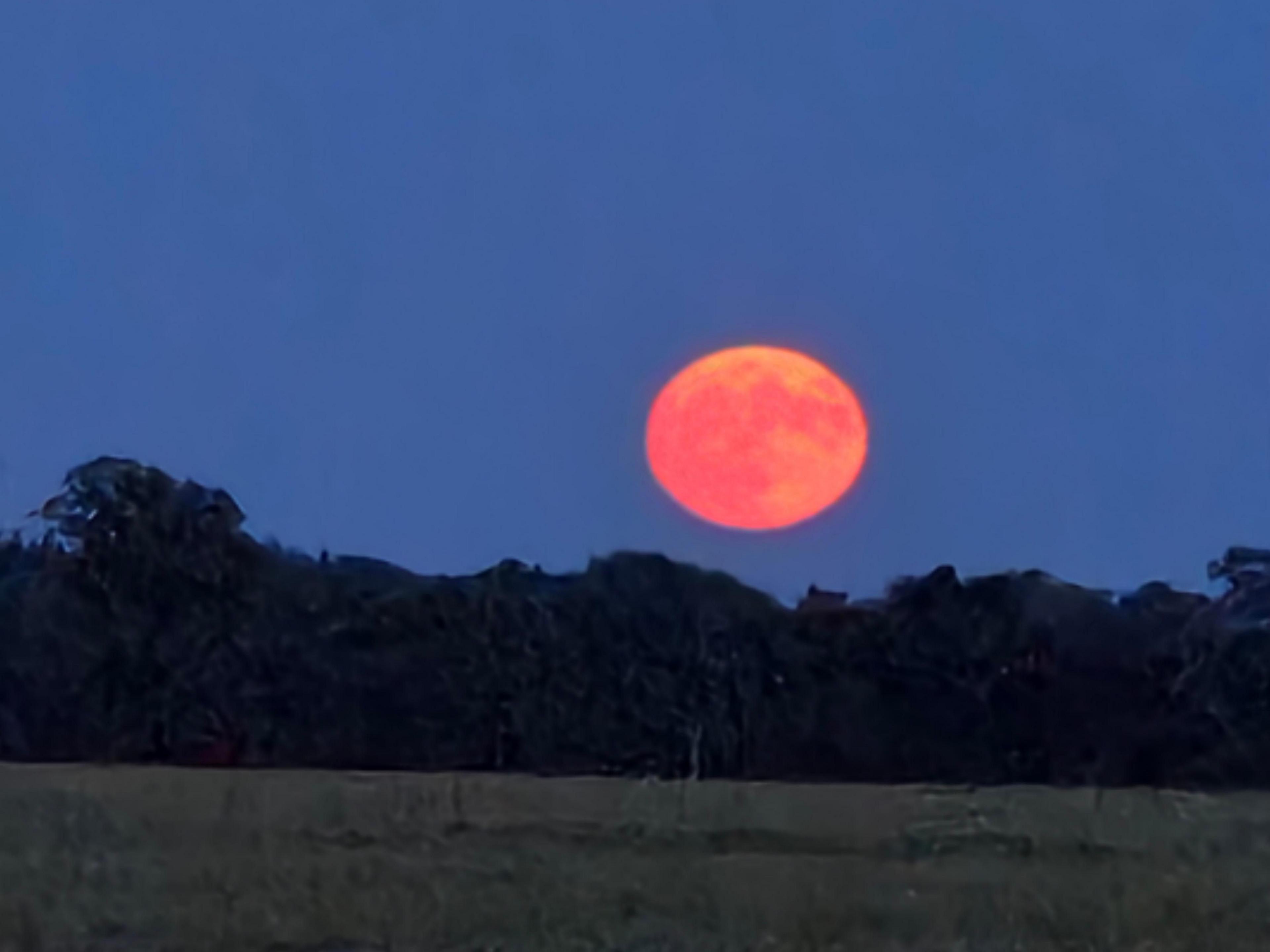 The moon rising above Fareham
