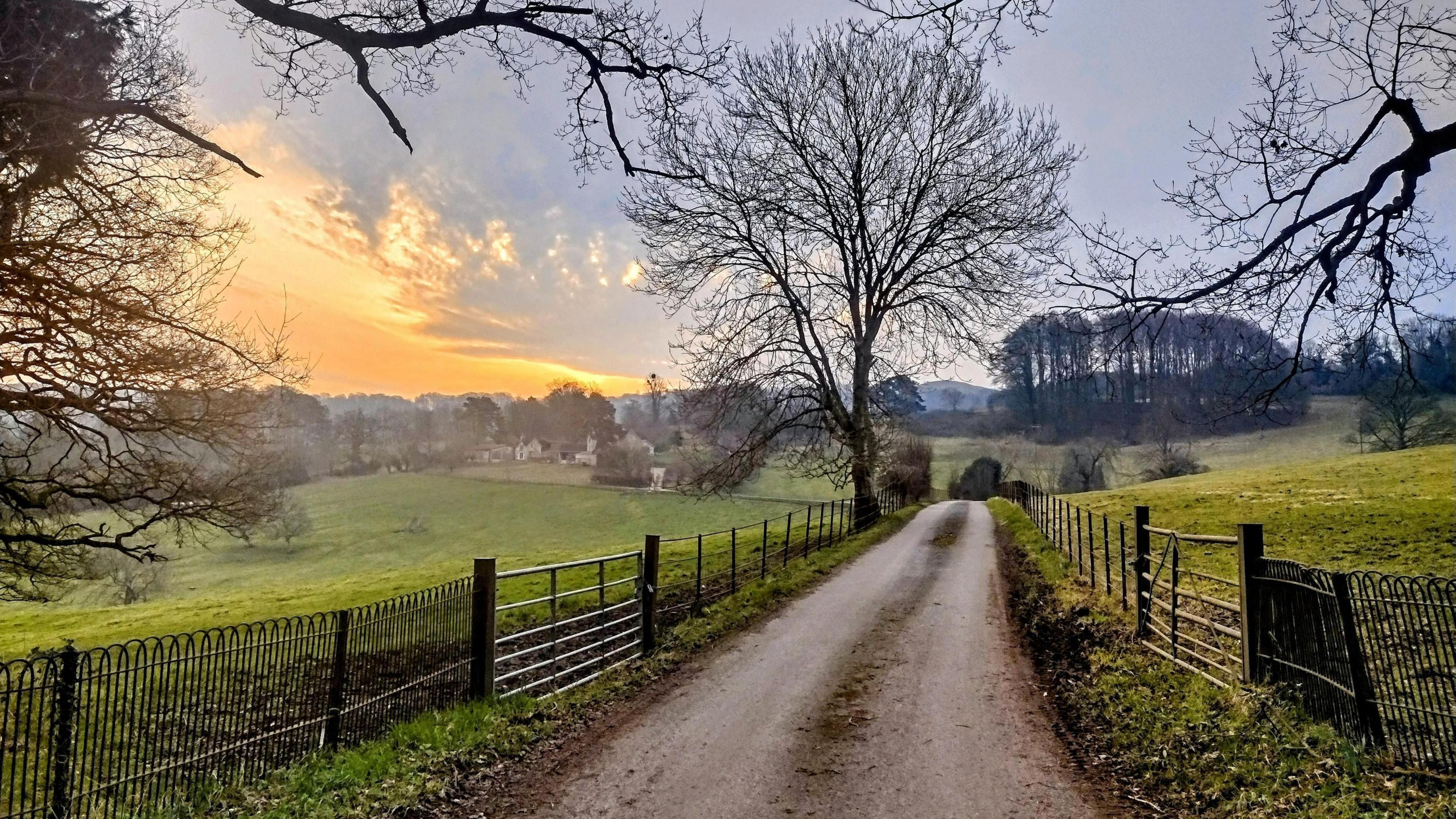 A gravel path leading to a lovely view of the grass and the trees in Upton St Leonards.