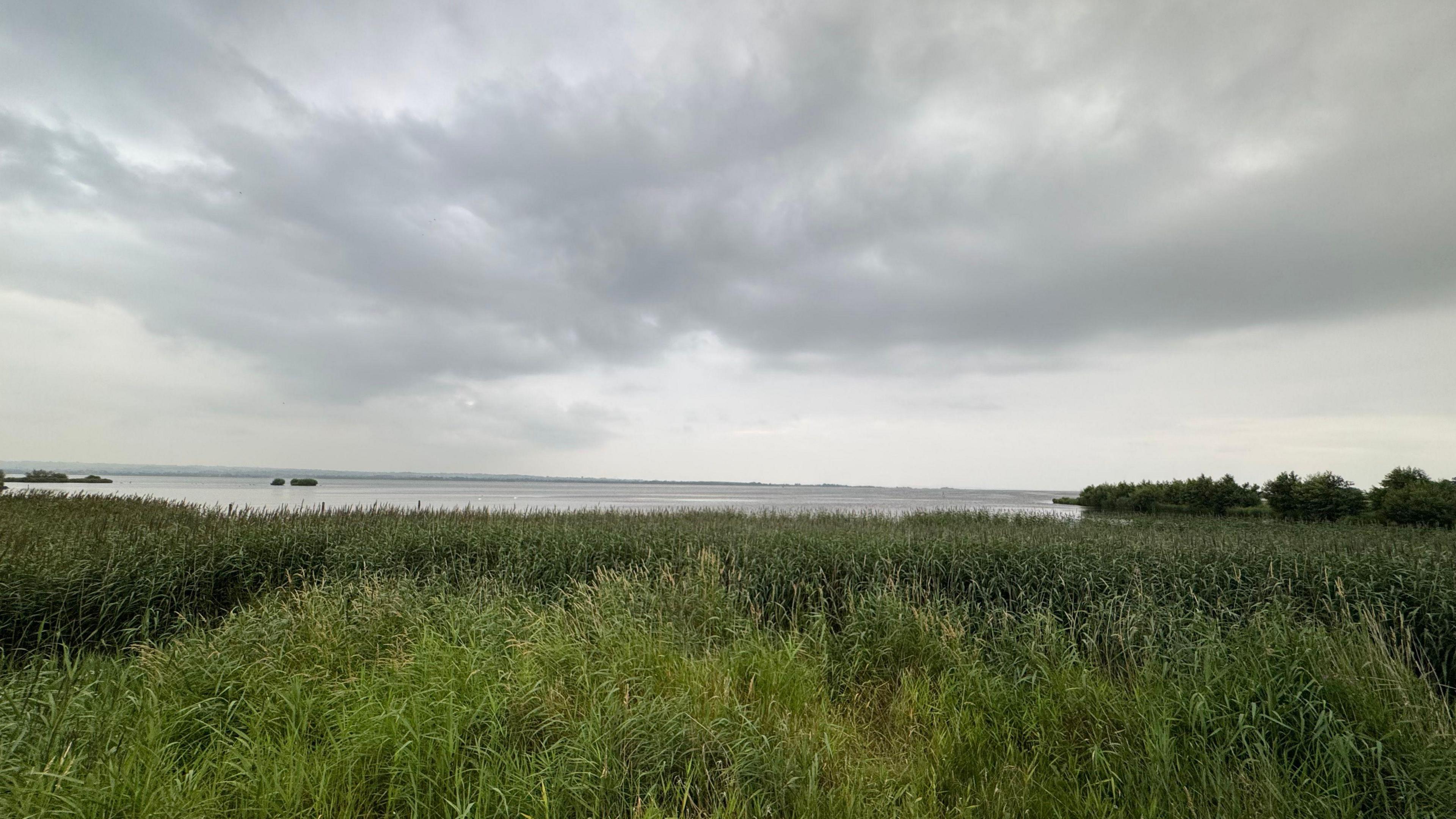 Lough Neagh lake which has grassy lands in front of it and a cloudy, grey sky above it. 