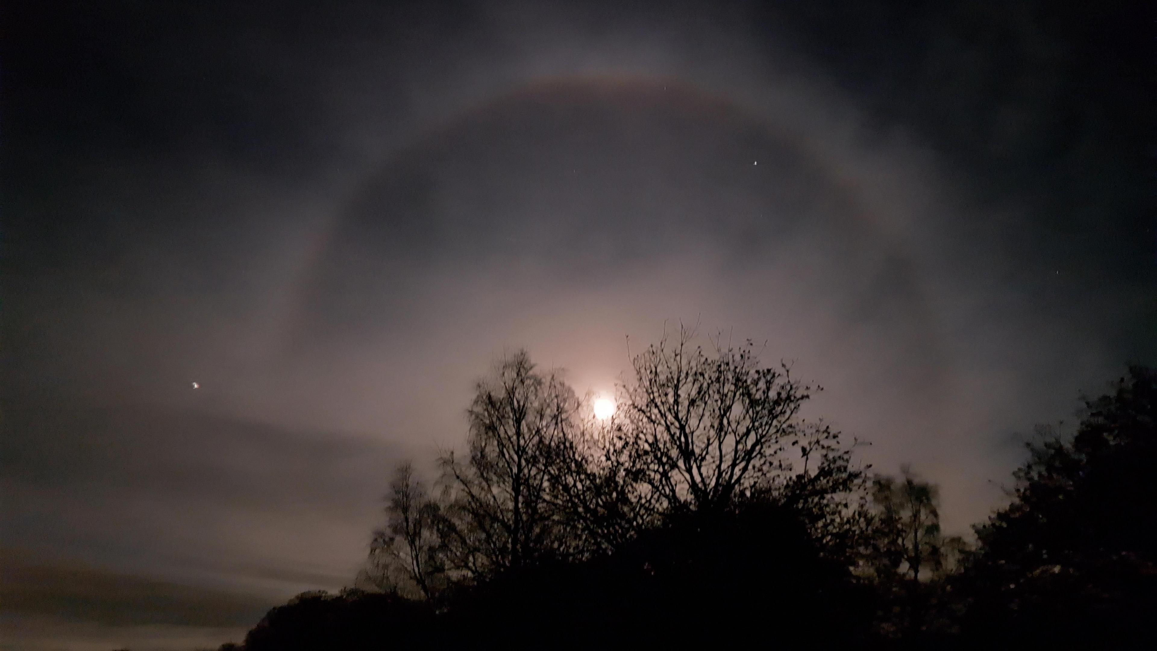 trees in the night sky with the full moon appearing as a small bright dot but with a bright ring around it
