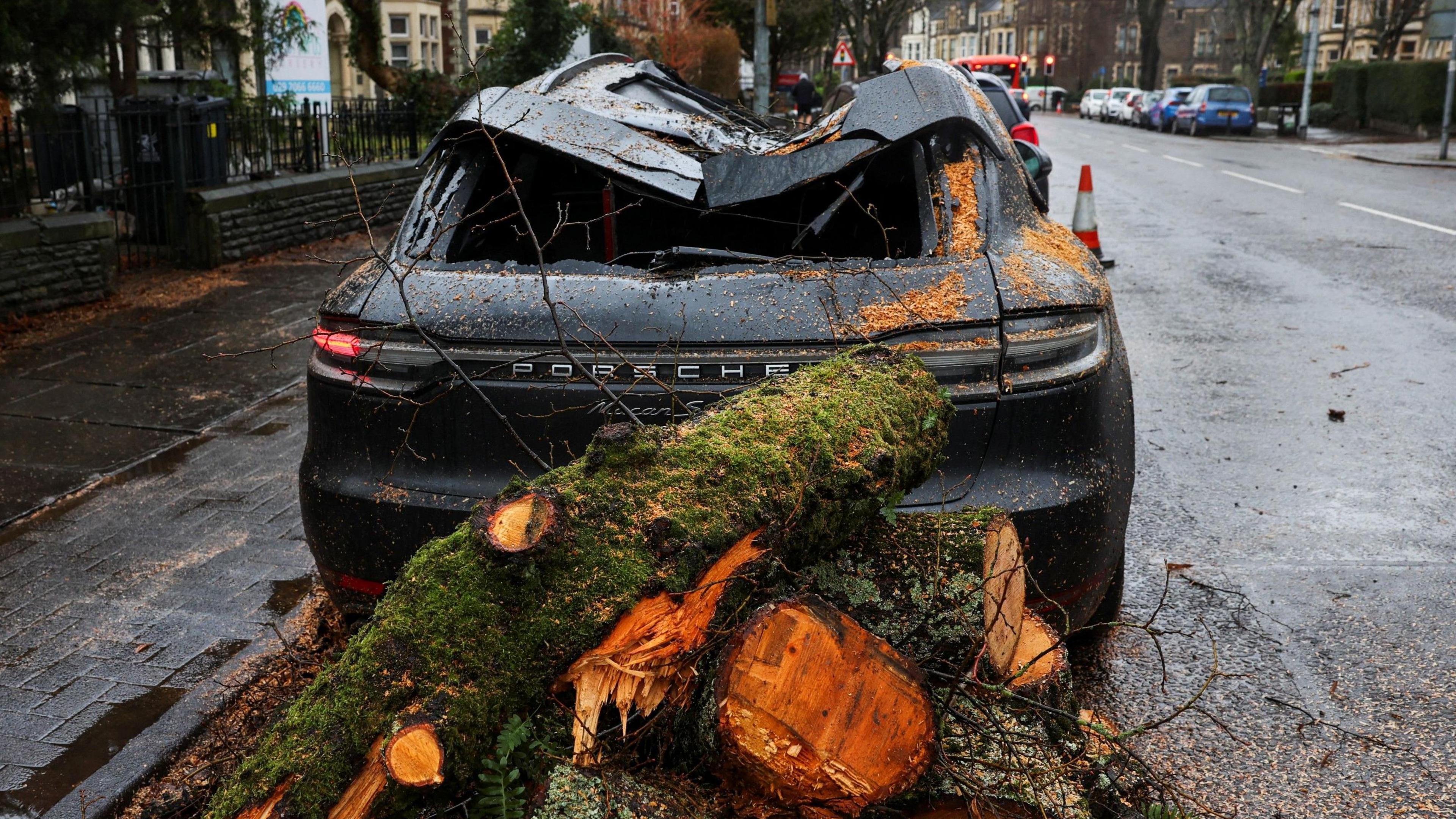 Porsche roof crushed by fallen tree