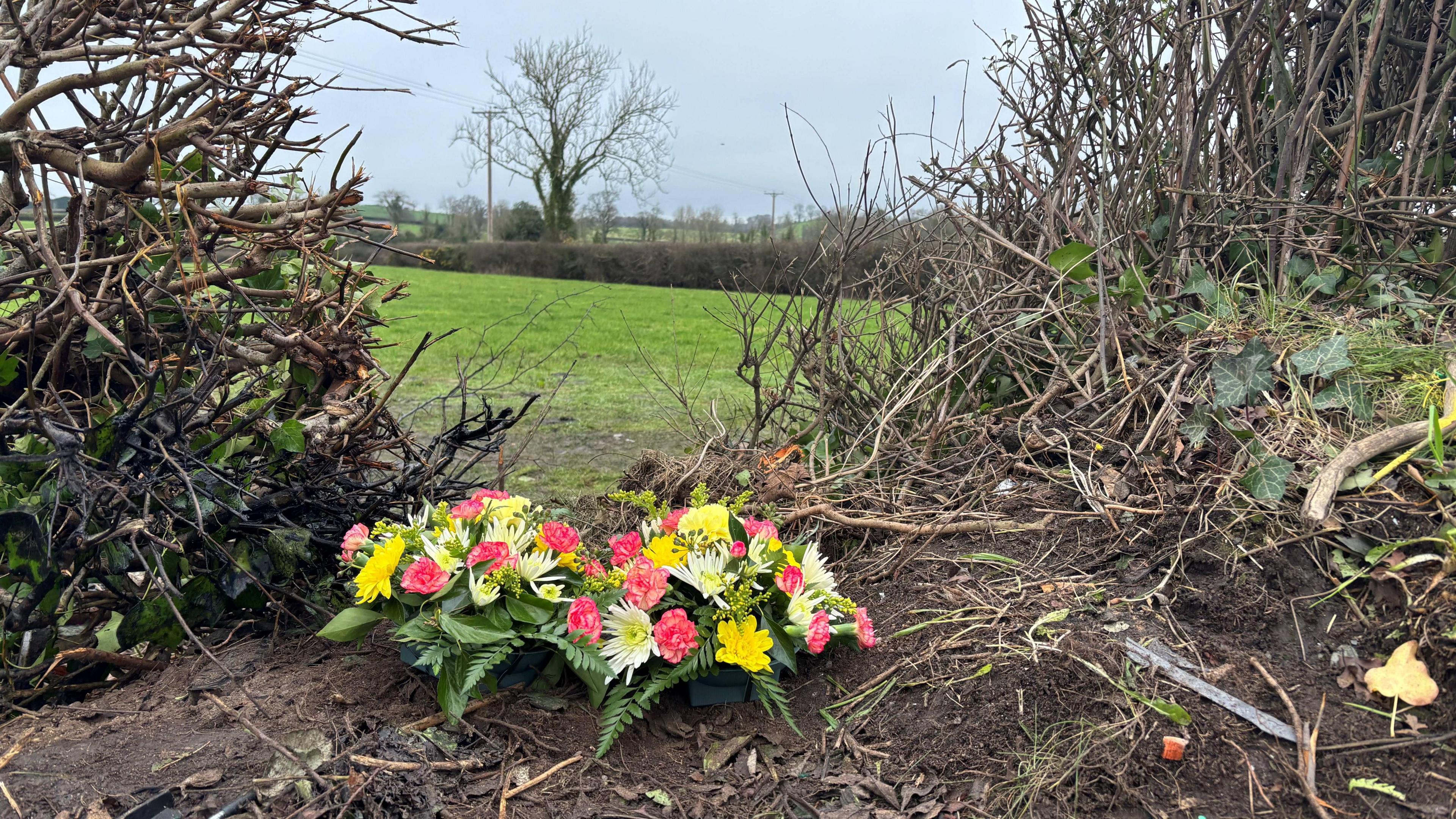 Yellow and pink flowers beside branches and a hedge which has a large gap in it with the foliage seemingly cut away