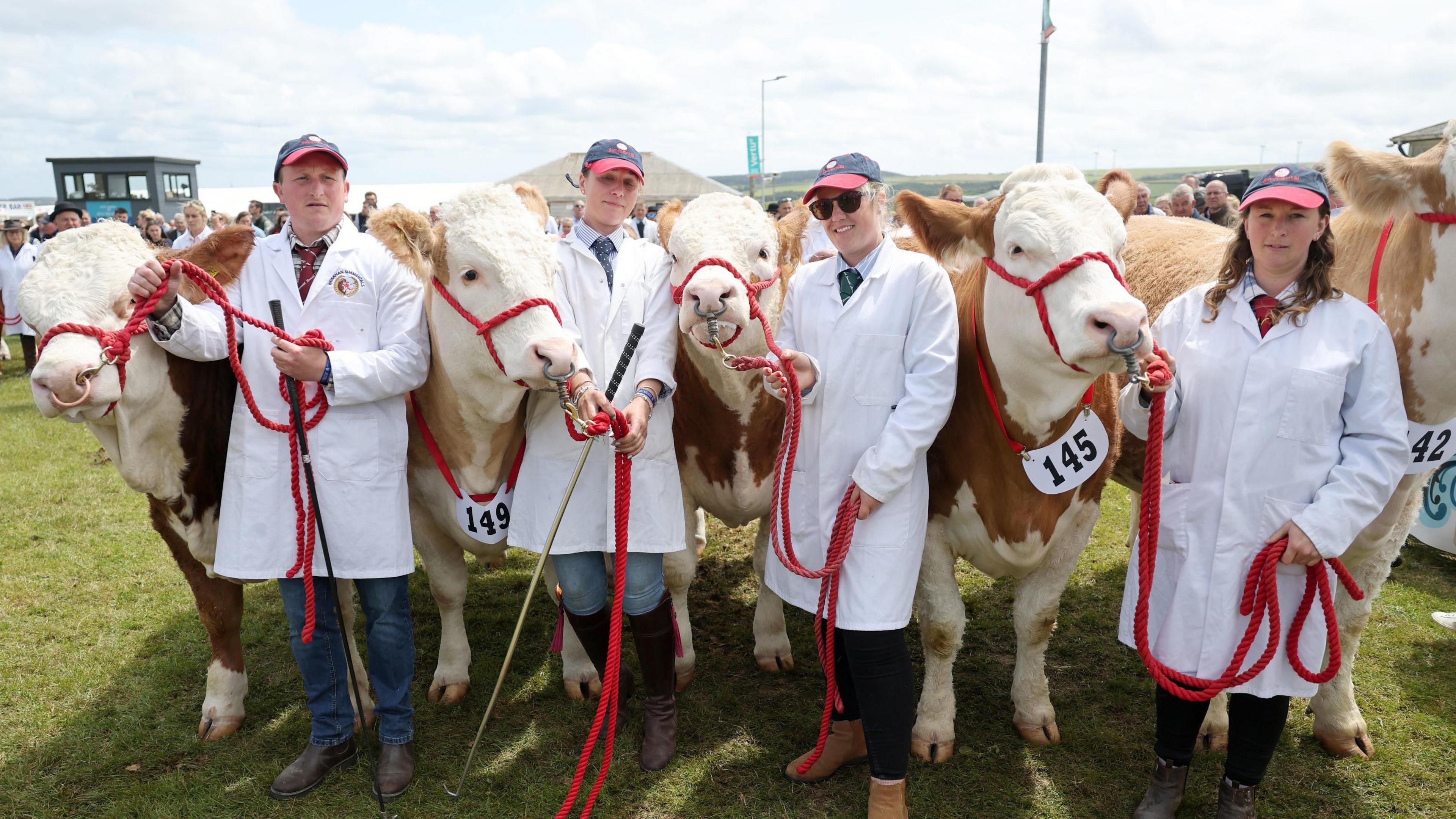 Winners of the Best Team of Five Beef Animals of a Breed award during the Royal Cornwall Show