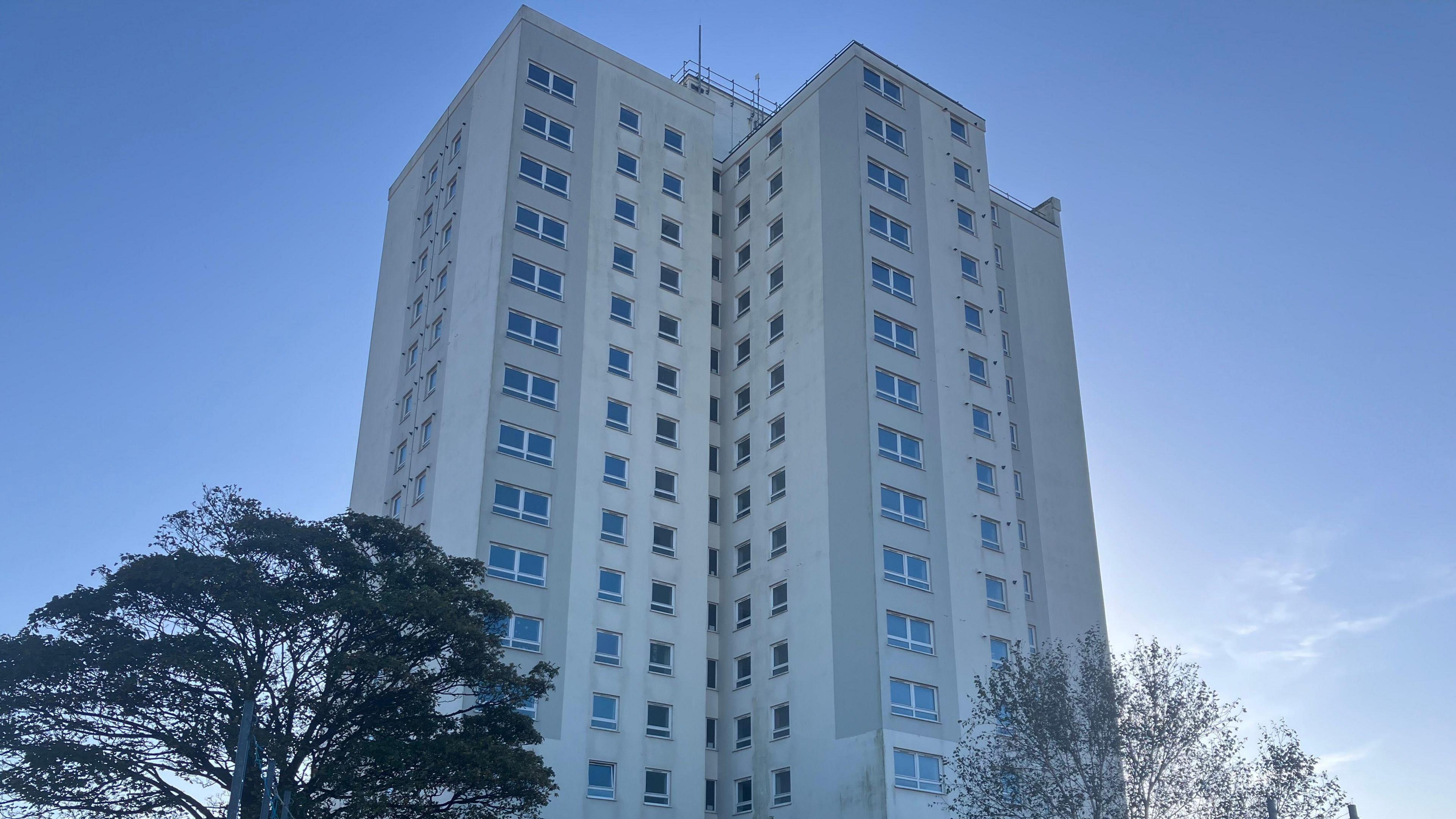 A 16-storey grey tower block with myriad windows behind two large trees    