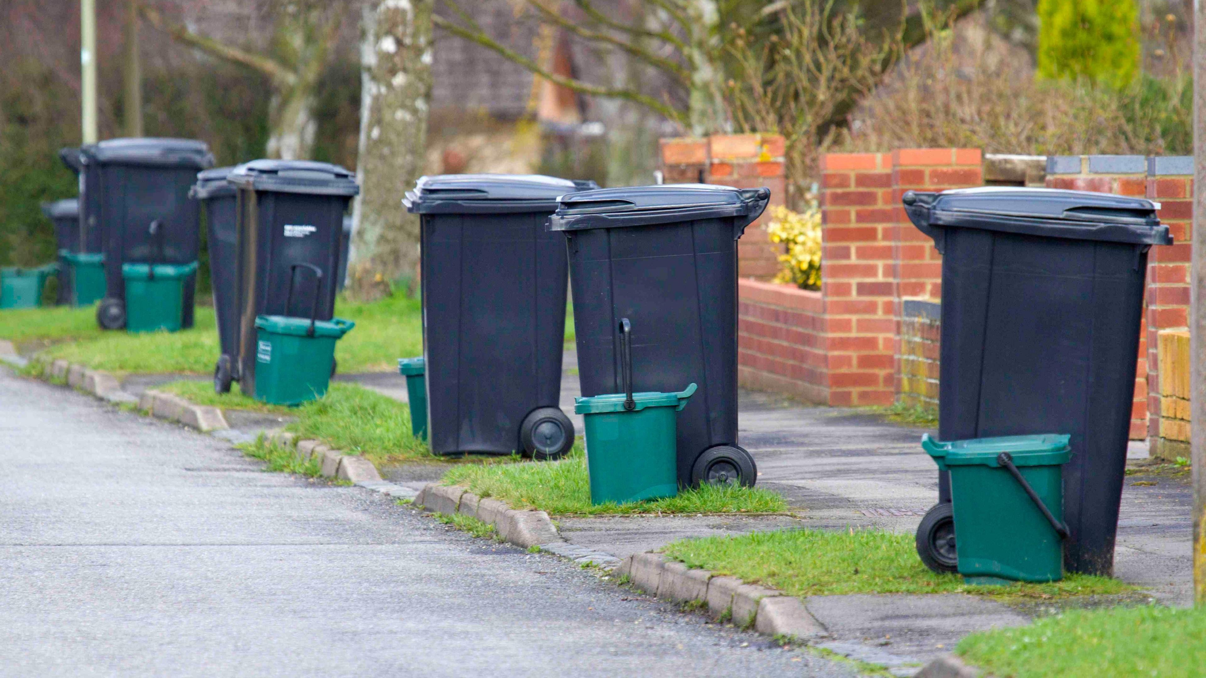 A row of green wheelie bins with small green recycling boxes next to them on a quiet residential street