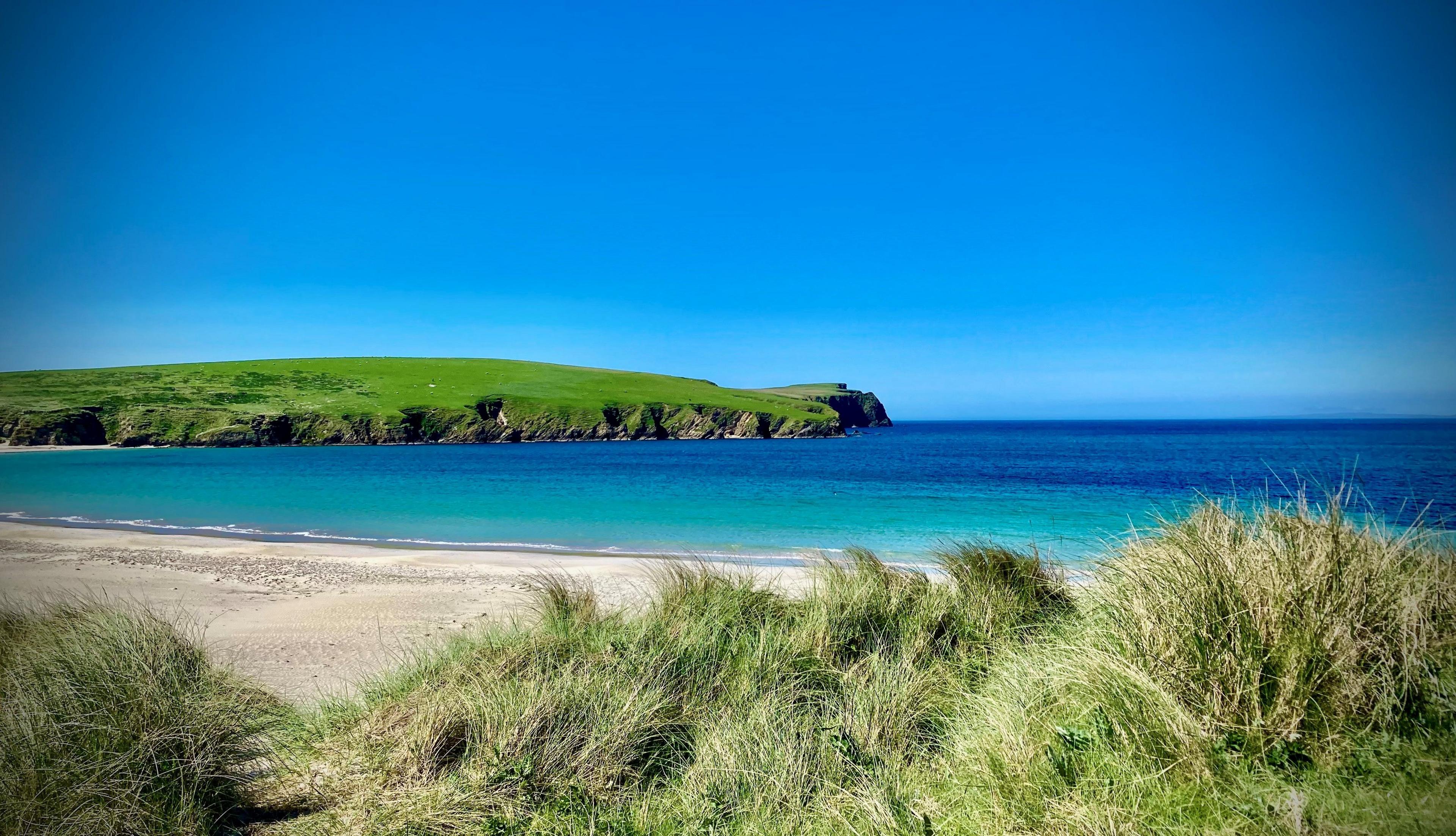 A sandy beach and green grass next to a blue sea on a sunny day
