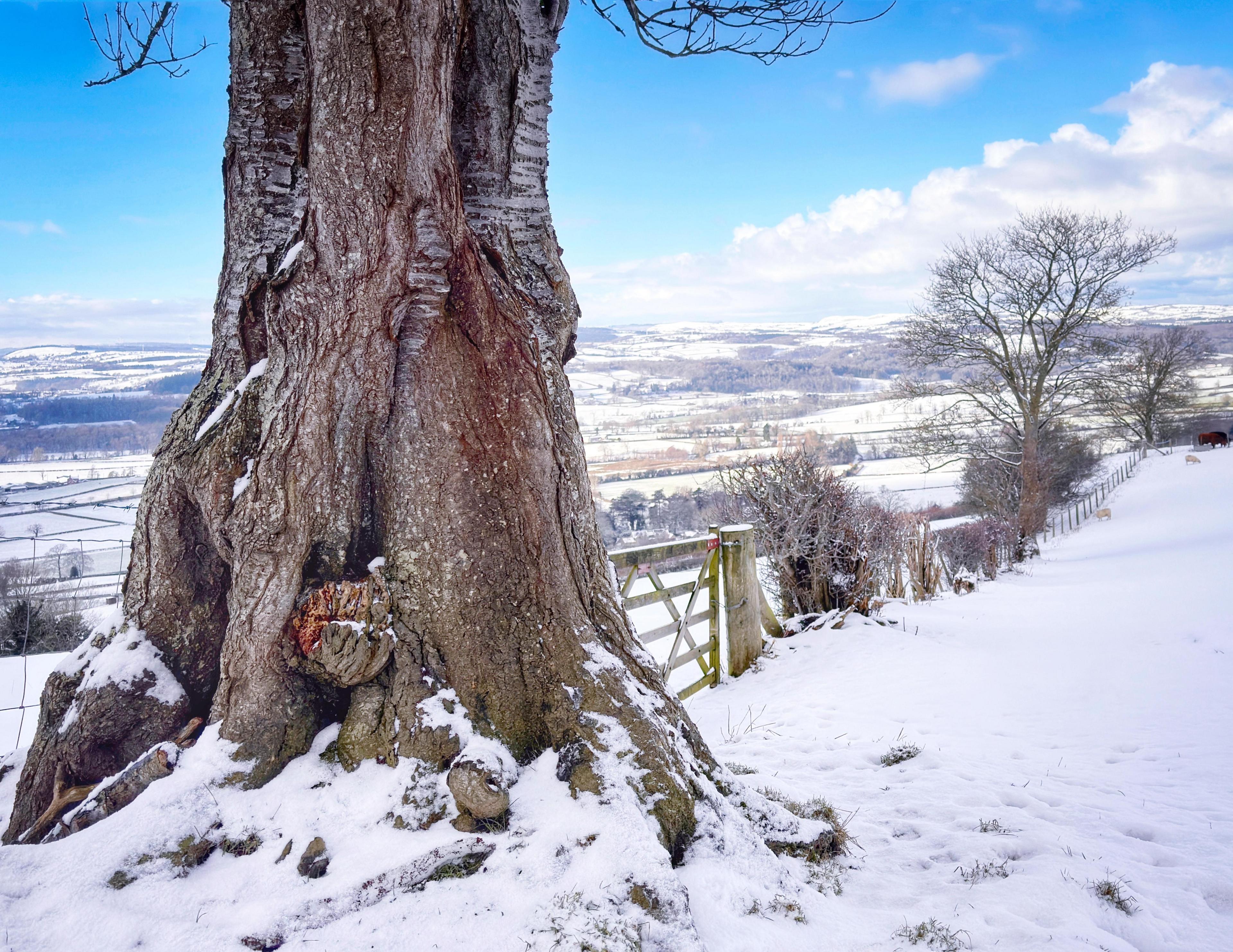 Un arall o Lanfair-Dyffryn-Clwyd