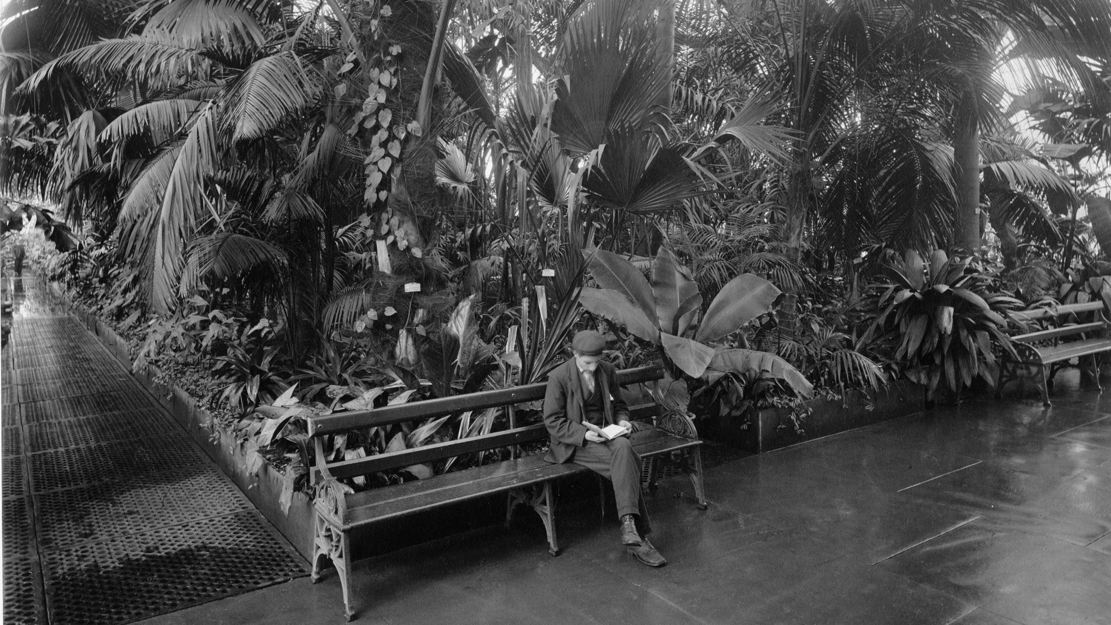 A black and white image taken inside the Palm House, a glass and iron building in Kew Gardens. Tropical plants fill the glass house and a man in a flat cap sits on a bench reading a book.