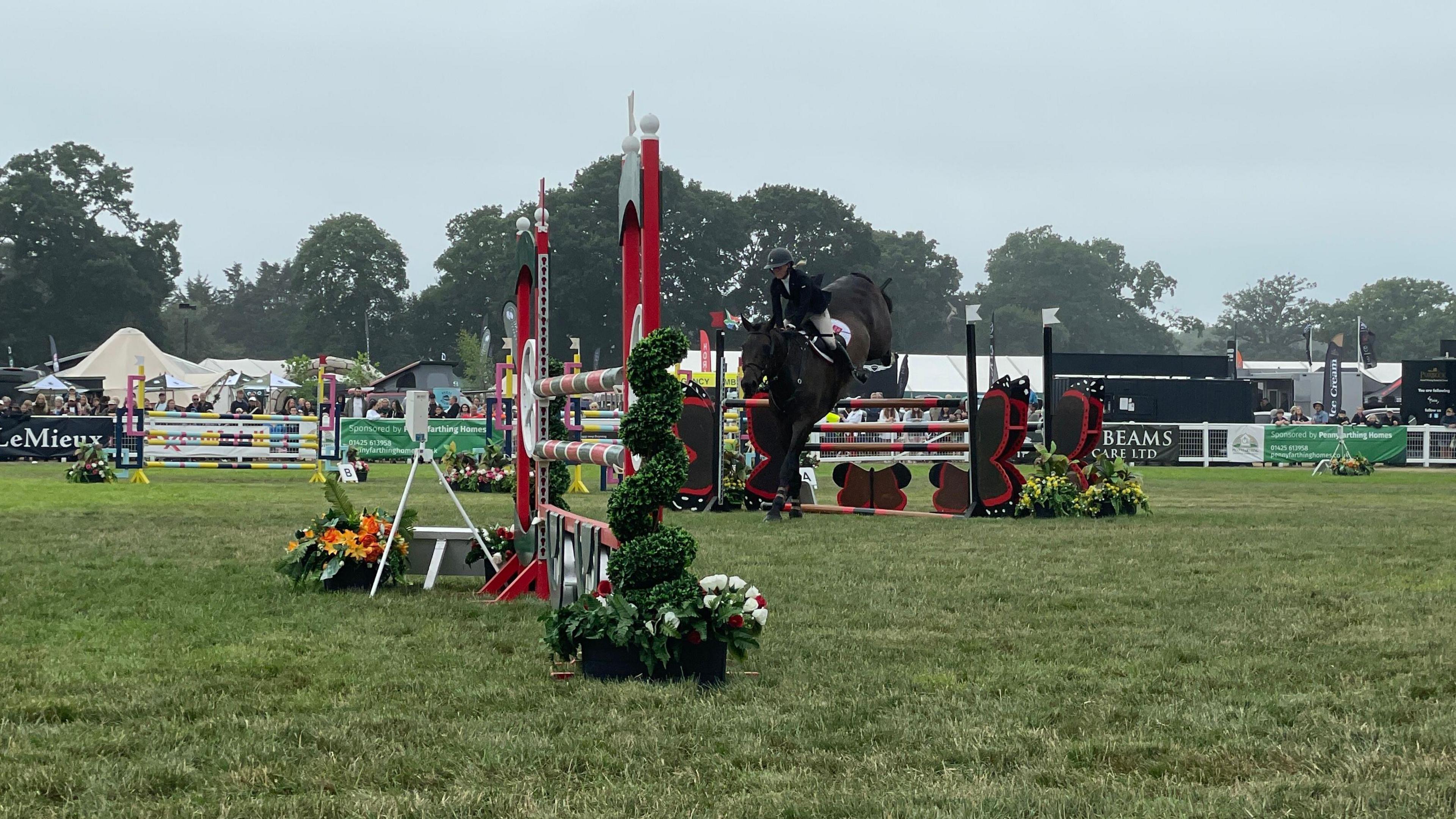 A horse showjumping at the New Forest County Show.