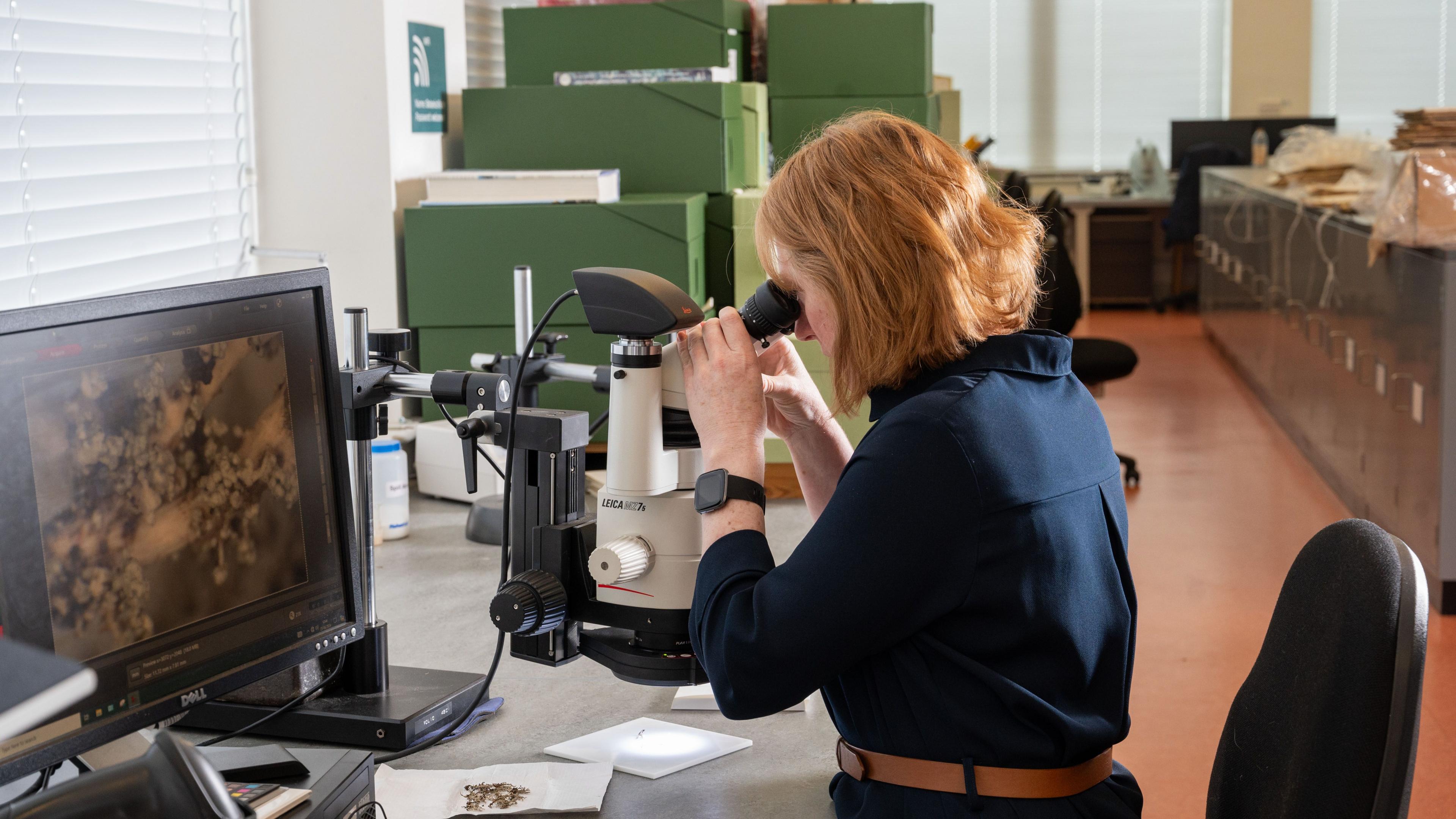 Professor Olwen Grace views a lichen sample from Royal Botanic Garden Edinburgh's collection.