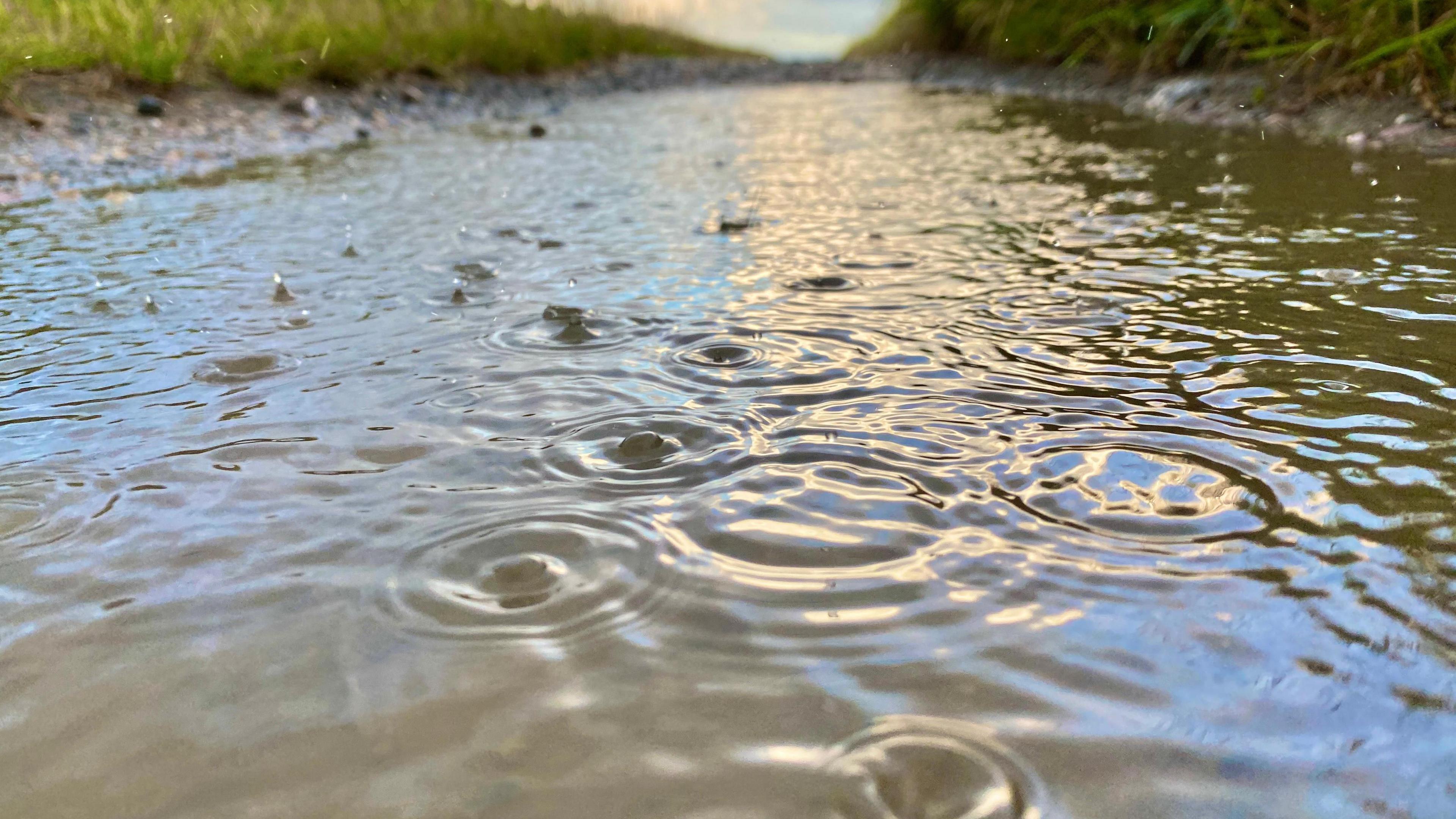 Close up shot of rain drops hitting a puddle on a country path. Grass verges are on either side of the path.