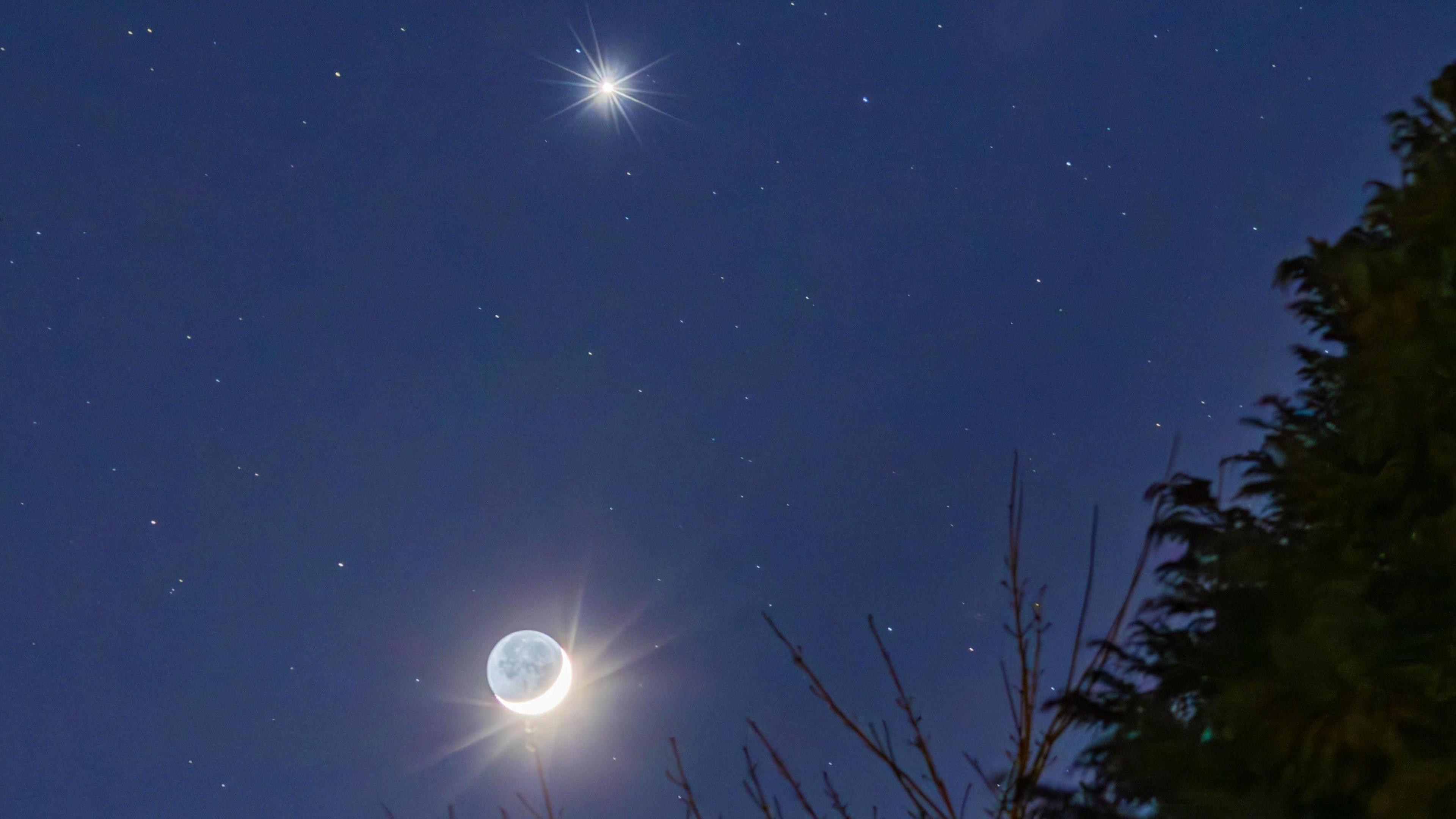 The Moon and Venus visible in the night sky, with the tops of trees also visible.