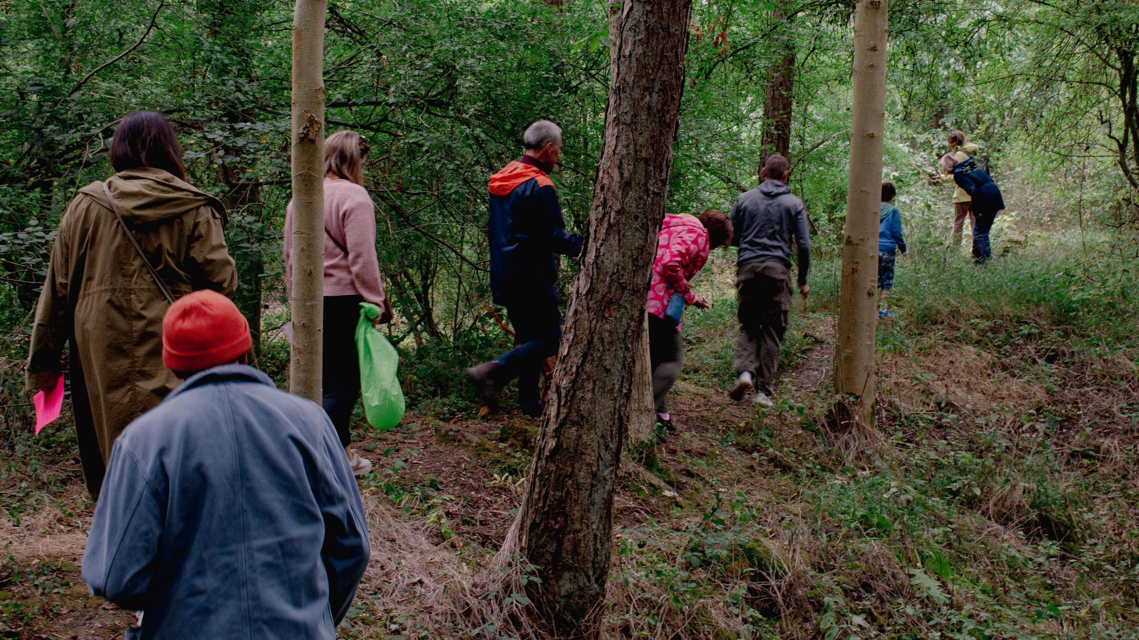 A line of people dressed for cold weather makes its way through an area of woodland with tall trees. One has a green plastic bag. Another is wearing a red woolly hat. Some are looking closely at the ground.