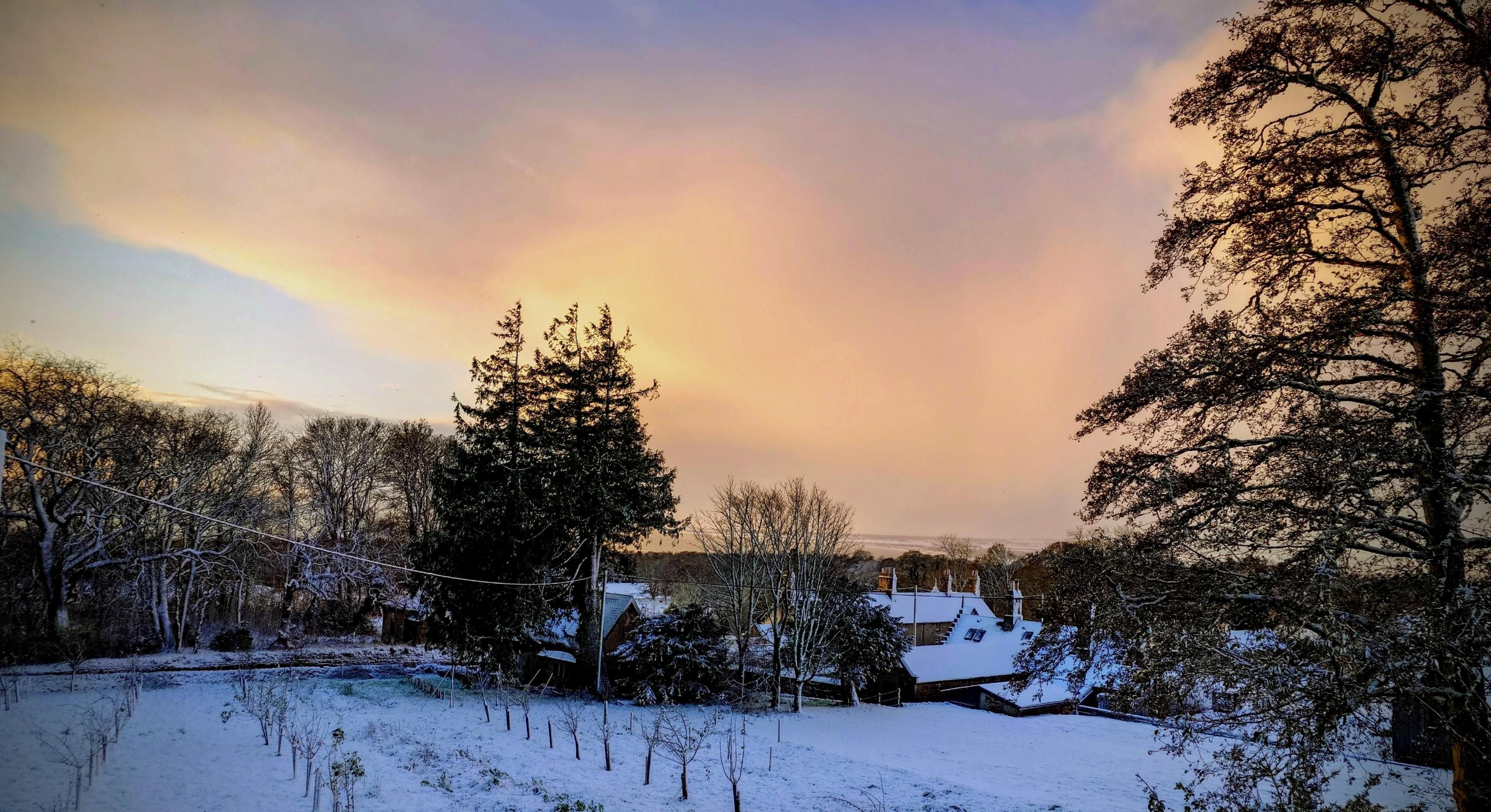 Snow-laden rural scene during late afternoon